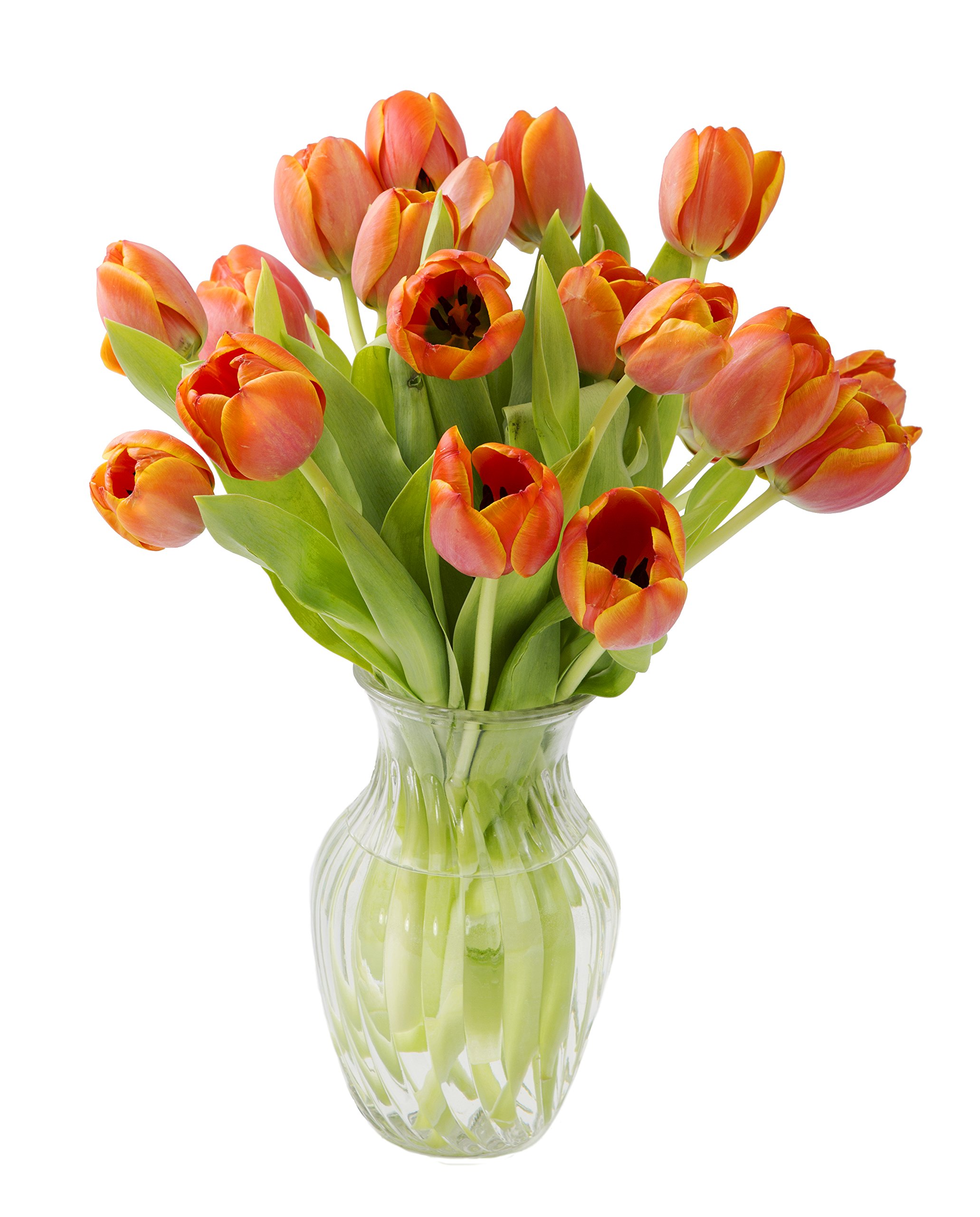 KaBloom-20 Orange Tulip Bouquet,Flowers for Valentine, Mother's Day