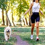 Mile High Life Hands Free Dog Leash, Crossbody Waist Leash with Genuine Leather Connection, Multifunctional Adjustable Slip Lead for Dog Walking Running (Black Khaki, 8FT)