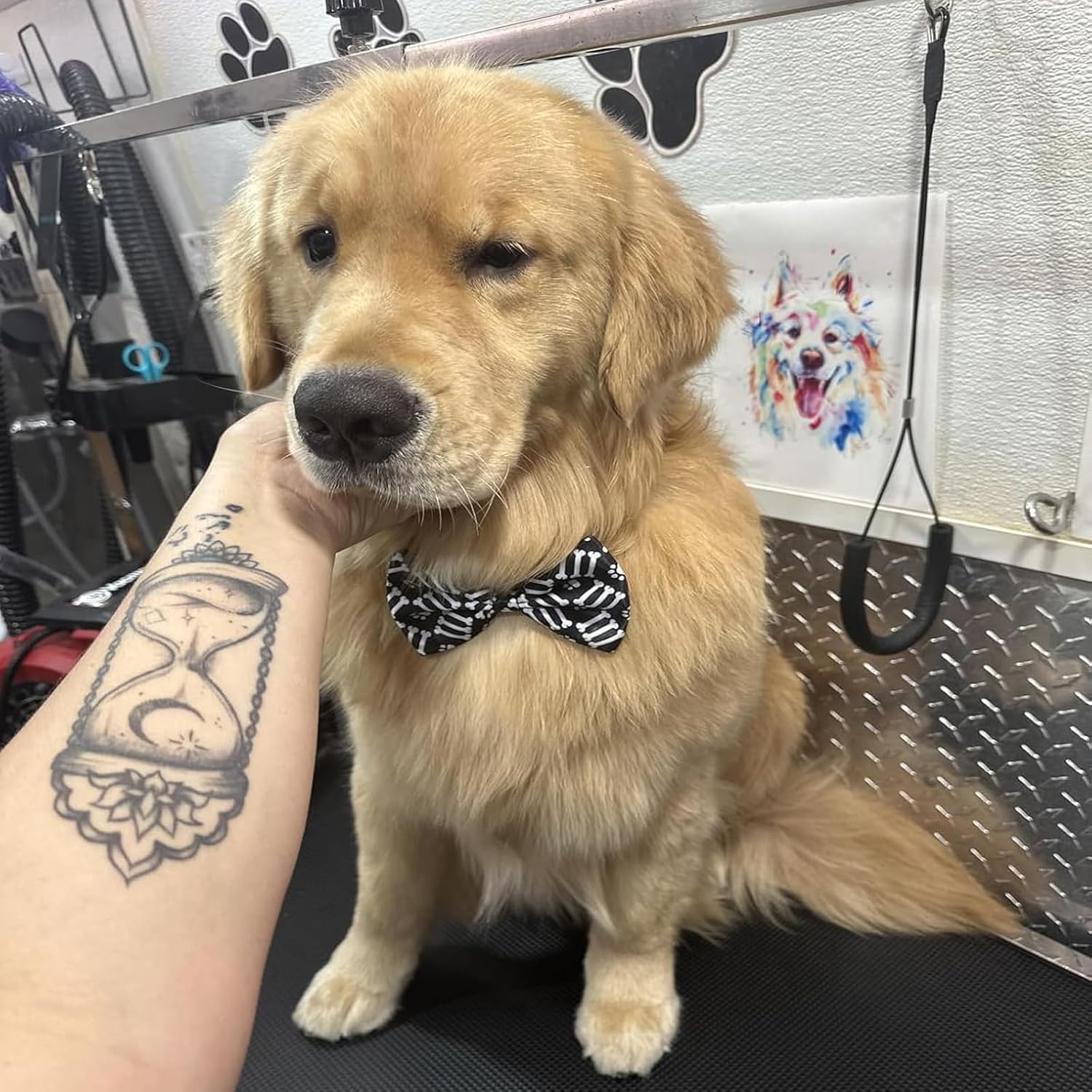 Paw Print Dog Bow Ties Bulk for Large Dogs 30 Pack 5.1"*3.1" L | Large Dog Bow Ties for Dogs Adjustable Dog Neck Bowties Bulk Dog Bows with Band Ties Party Grooming