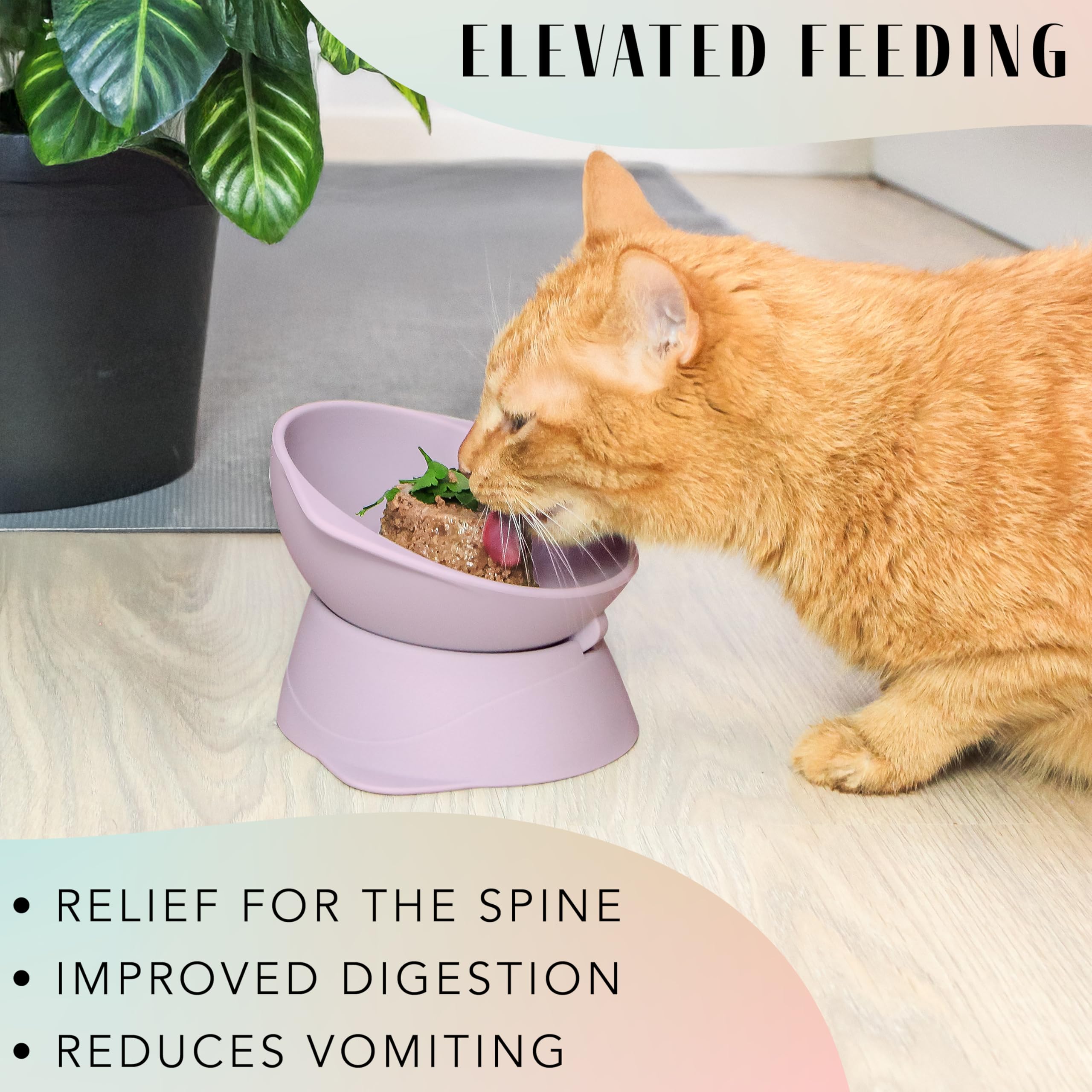 ne&no® Silicone Cat Bowl Raised with Adjustable Tilt, Mauve - Image 3