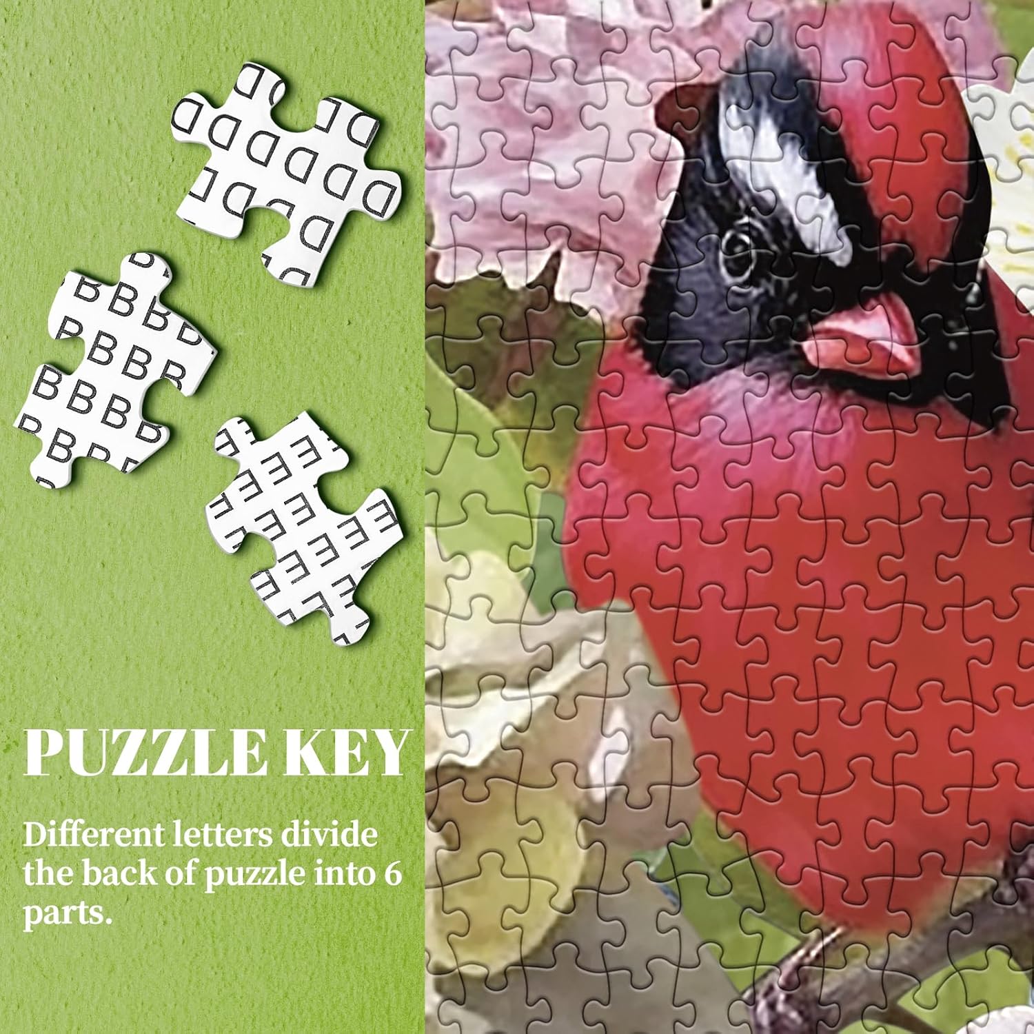 Bird Puzzle for Adult 1000 Piece, Flower Jigsaw Puzzles with Animals, Nature Garden Puzzle for Adults 1000 Pieces and Up