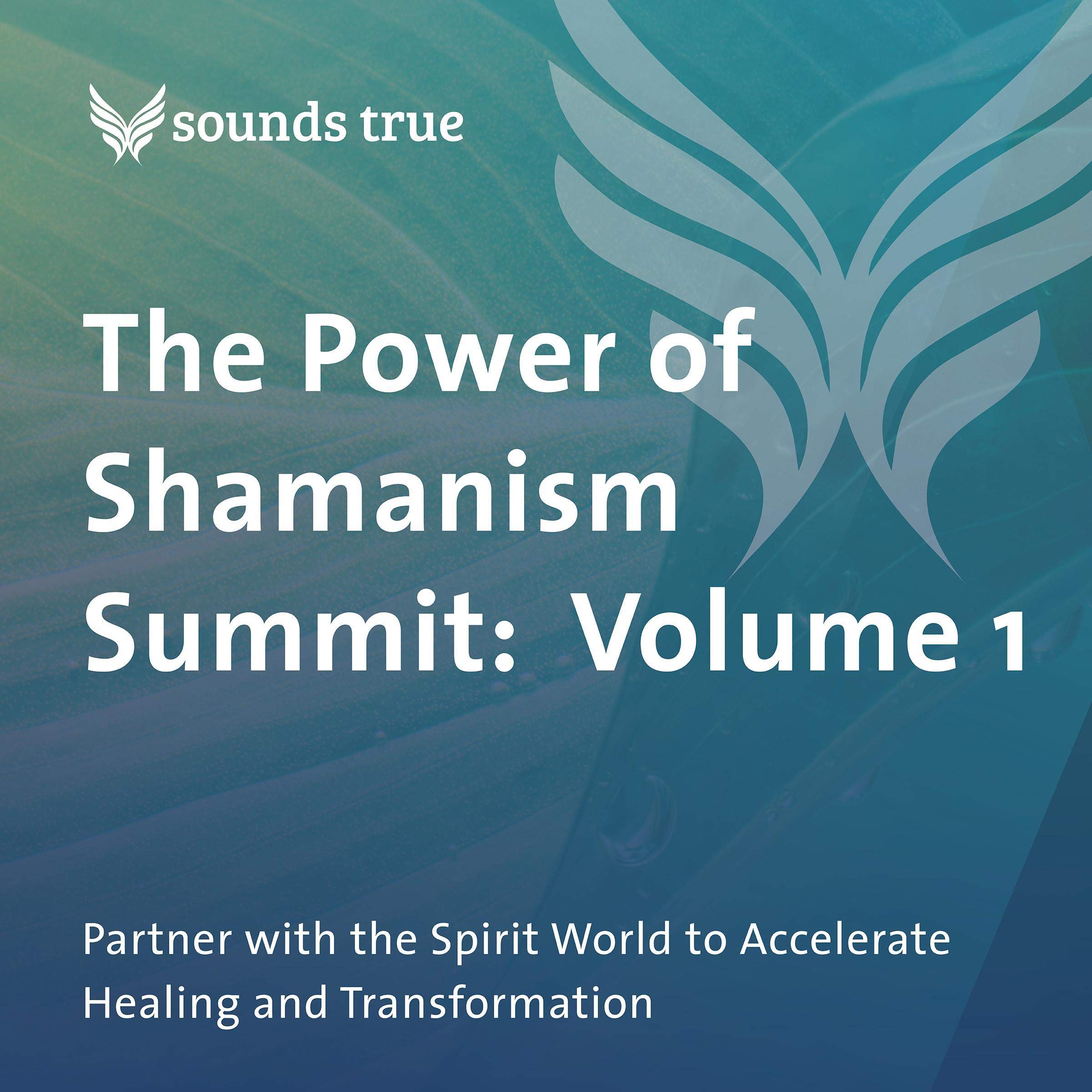 The Power of Shamanism Summit: Volume 1