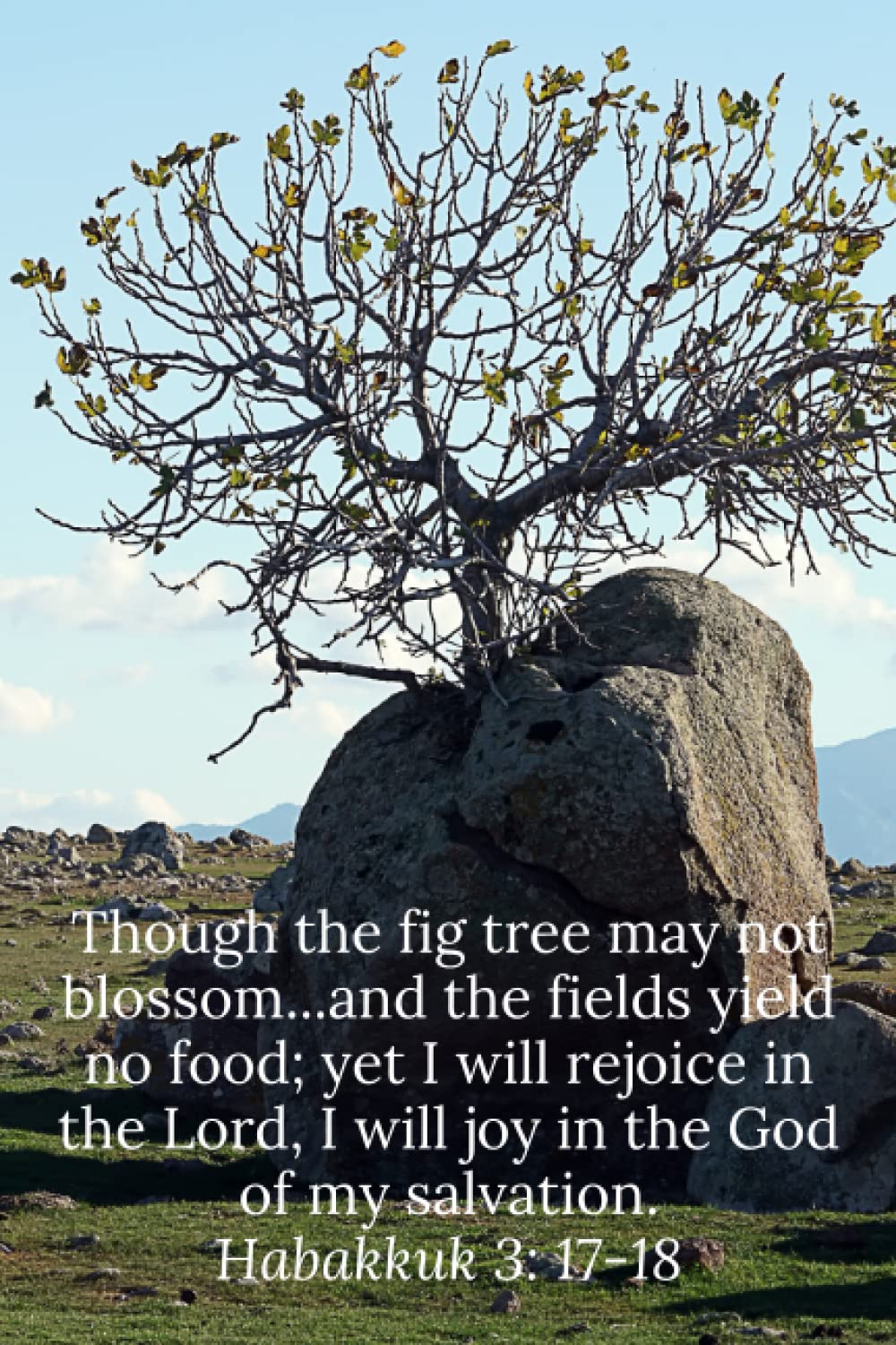 Though the fig tree may not blossom...and the fields yield no food; yet I will rejoice in the Lord, I will joy in the God of my salvation. Habakkuk 3:17-18 - Daily Journal