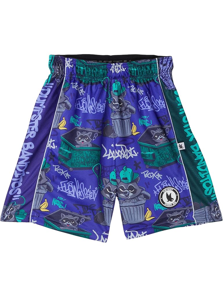 Purple FLOW SOCIETY Boys Racoon Banditos Shorts (Little Kid/Big Kid)