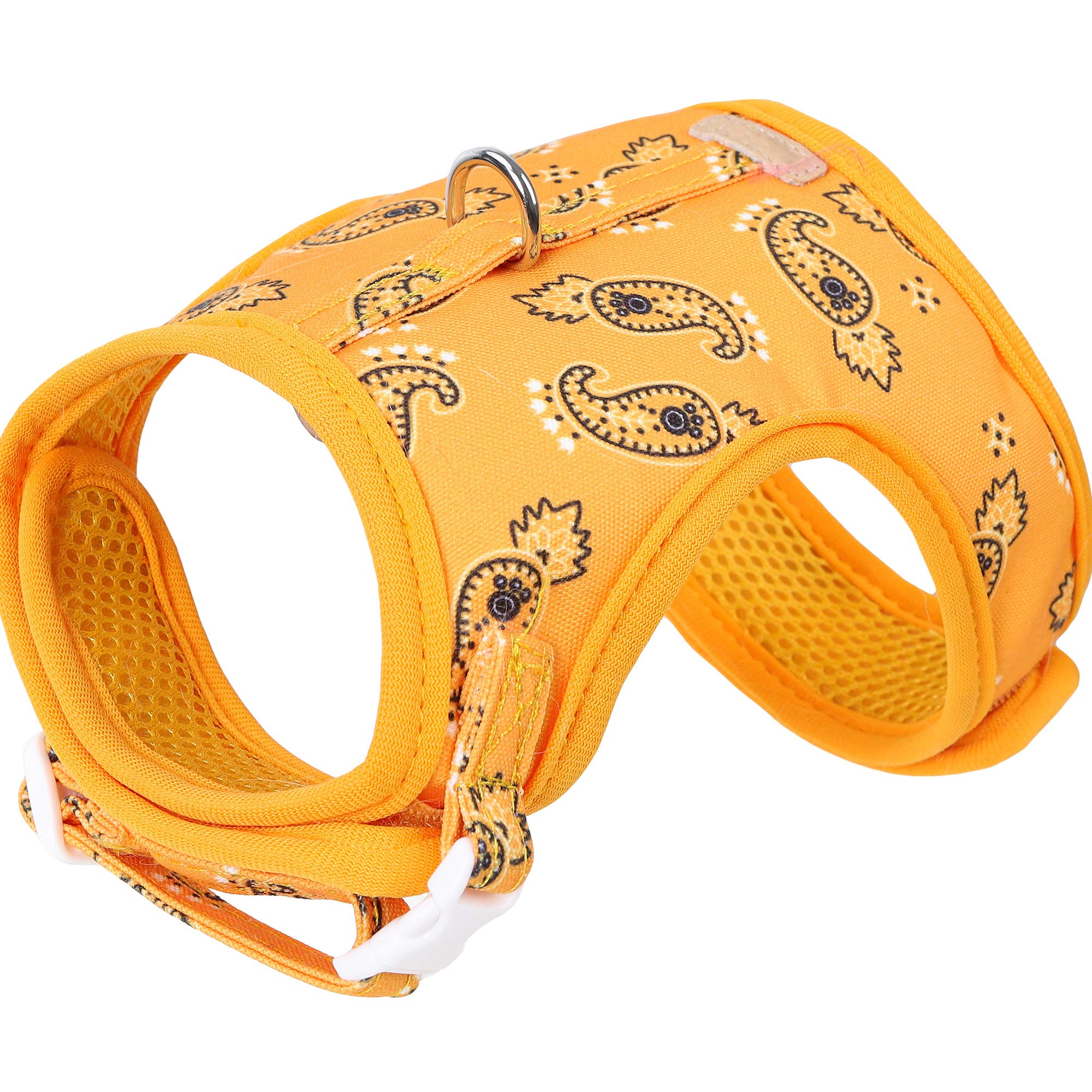 Harnais et Laisse pour Chat pour la Marche, Harnais de Marche réglable pour Chat, Ensemble de Laisse, Gilet d'extérieur Facile à contrôler Little Surprise