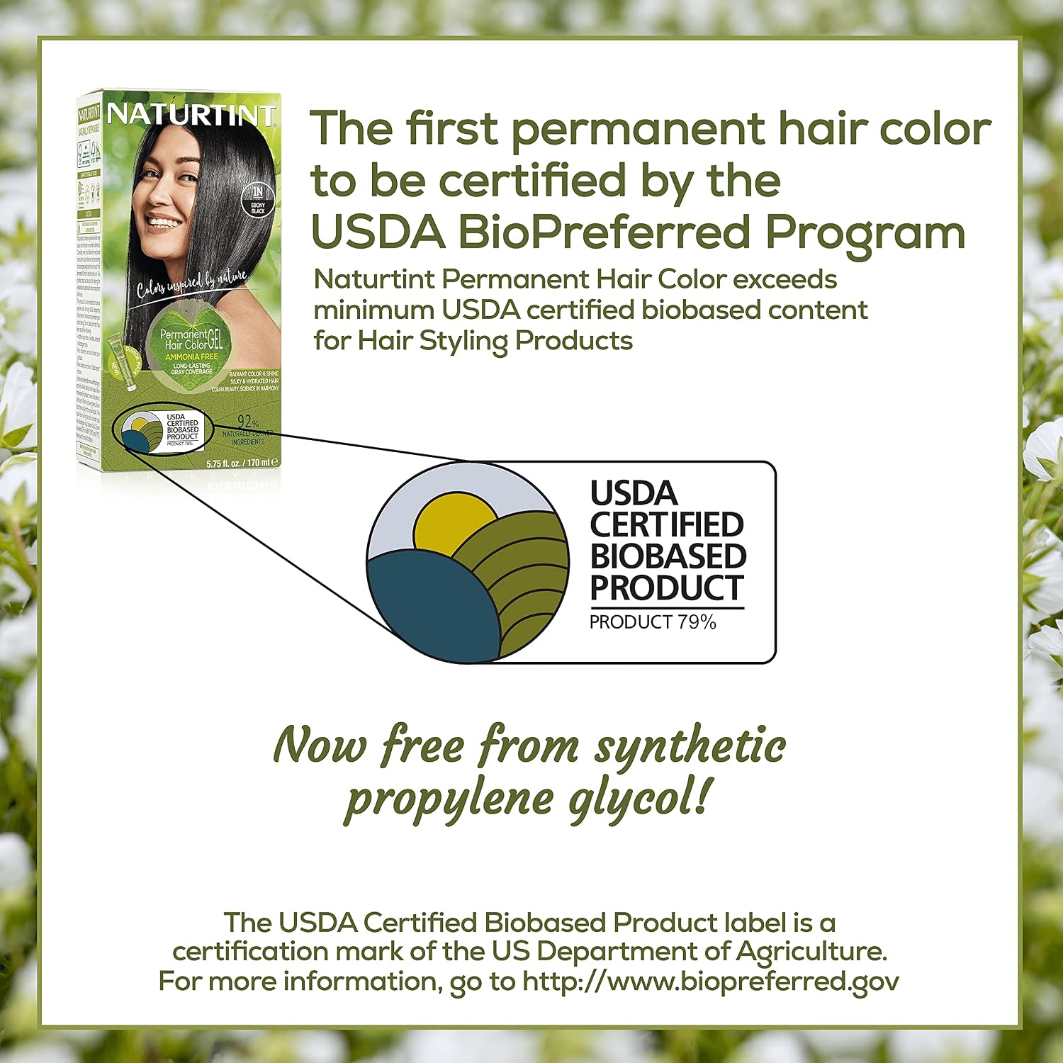 Naturtint Permanent Hair Color 1N Ebony Black - 5.4 fl oz