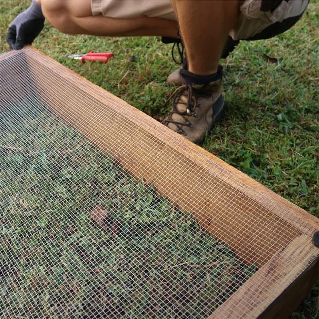 Valla De Alambre De Gallinero, 12x12mm Agujeros 304 De Acero Inoxidable De Malla Electrosoldada Para Aves De Corral Mascota Conejo, Aviary Fence(1x19m)