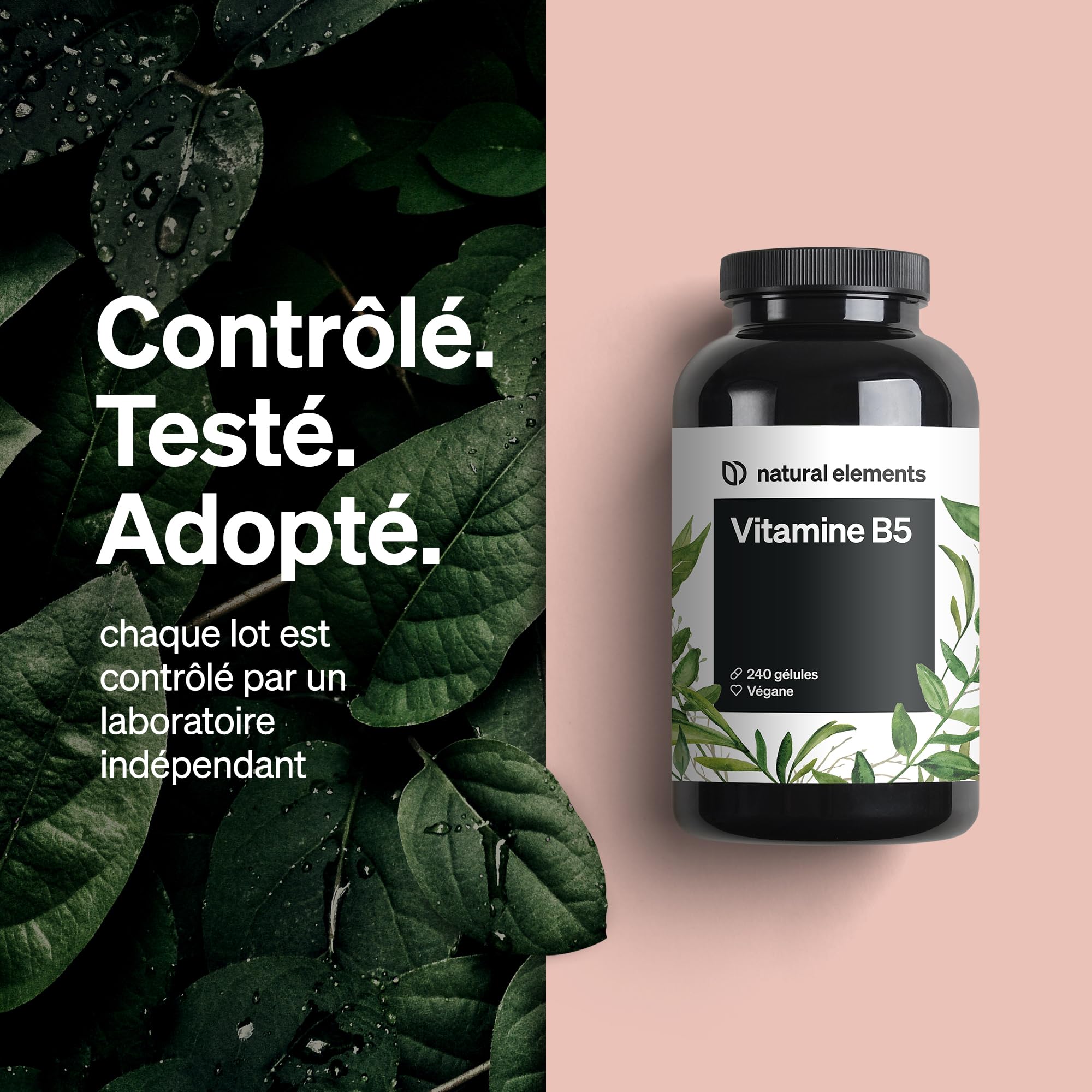 Vitamine B5 – 240 gélules – 500 mg d’acide pantothénique hautement dosé – végane – produit et testé en laboratoire en Allemagne
