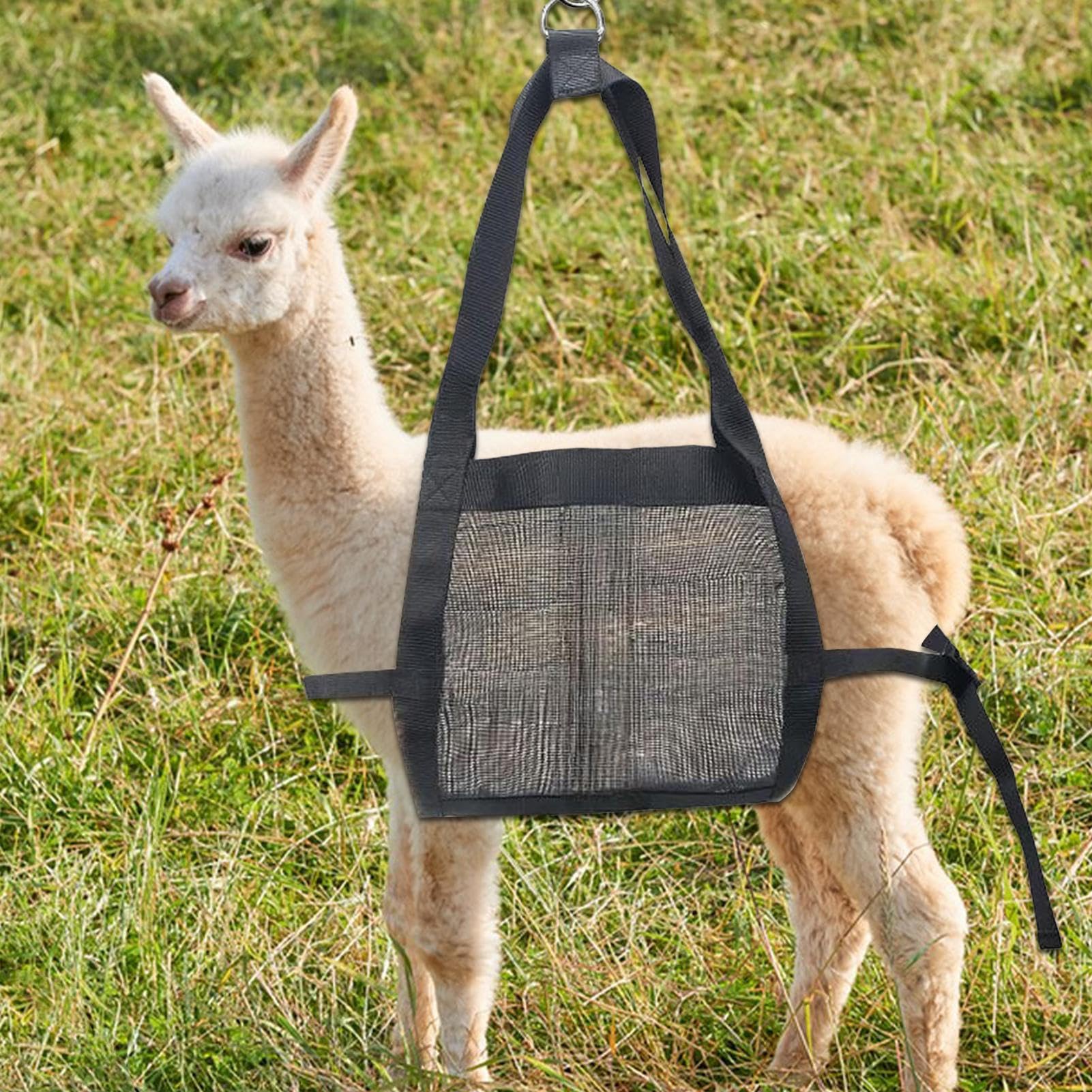 Ziegen-Wiegeschlinge Aus Teslin-Netz – 61 X 40,6 Cm, 100 Kg Tragkraft, Für Lämmer, Baby-Alpakas & Hunde