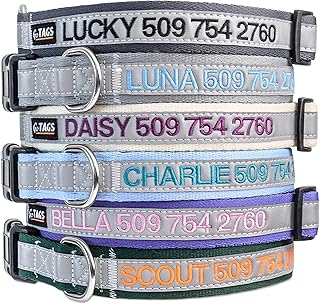 GoTags Reflective Personalized Dog Collar, Custom Embroidered Safety Collar | Pet Name and Phone Number for Boy and Girl Dogs, Small, Medium, and Large Adjustable Sizes (Large, Red)