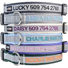 GoTags Reflective Personalised Dog Collar, Custom Embroidered Safety Collar with Pet Name and Phone Number for Boy and Girl Dogs, Small, Medium, and Large Adjustable Sizes Blue, Small