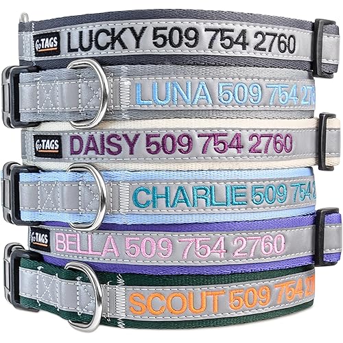 GoTags Reflective Personalized Dog Collar, Custom Embroidered with Pet Name and Phone Number in Blue for Boy and Girl Dogs, Adjustable Large
