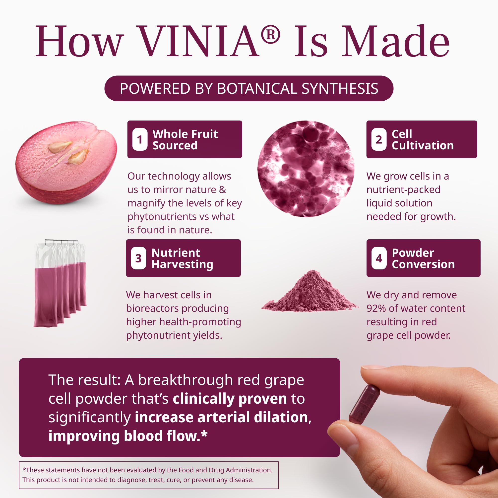 VINIA Blood Flow | Piceid Resveratrol Capsules | Vegan, Non-GMO, 30 Count — Amazon image 8