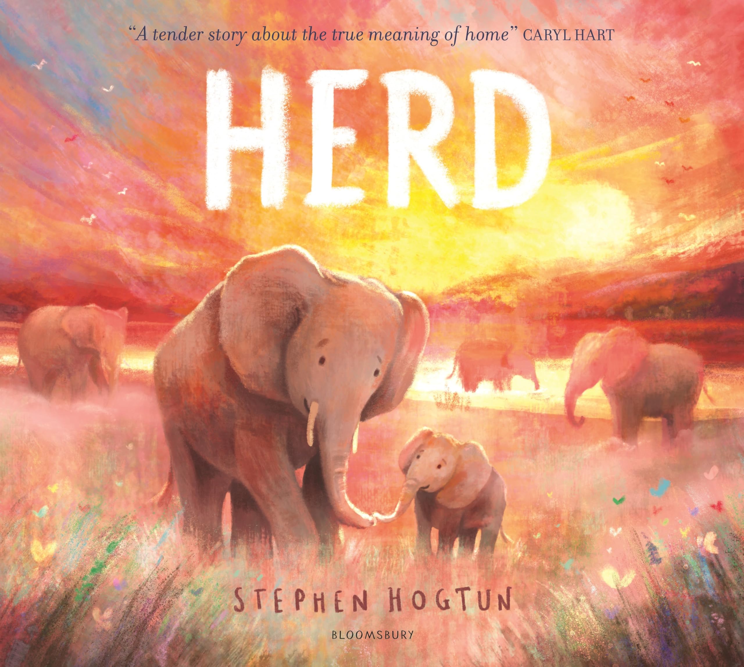 HERD by Stephen Hogtun PAPERBACK 9781526610713