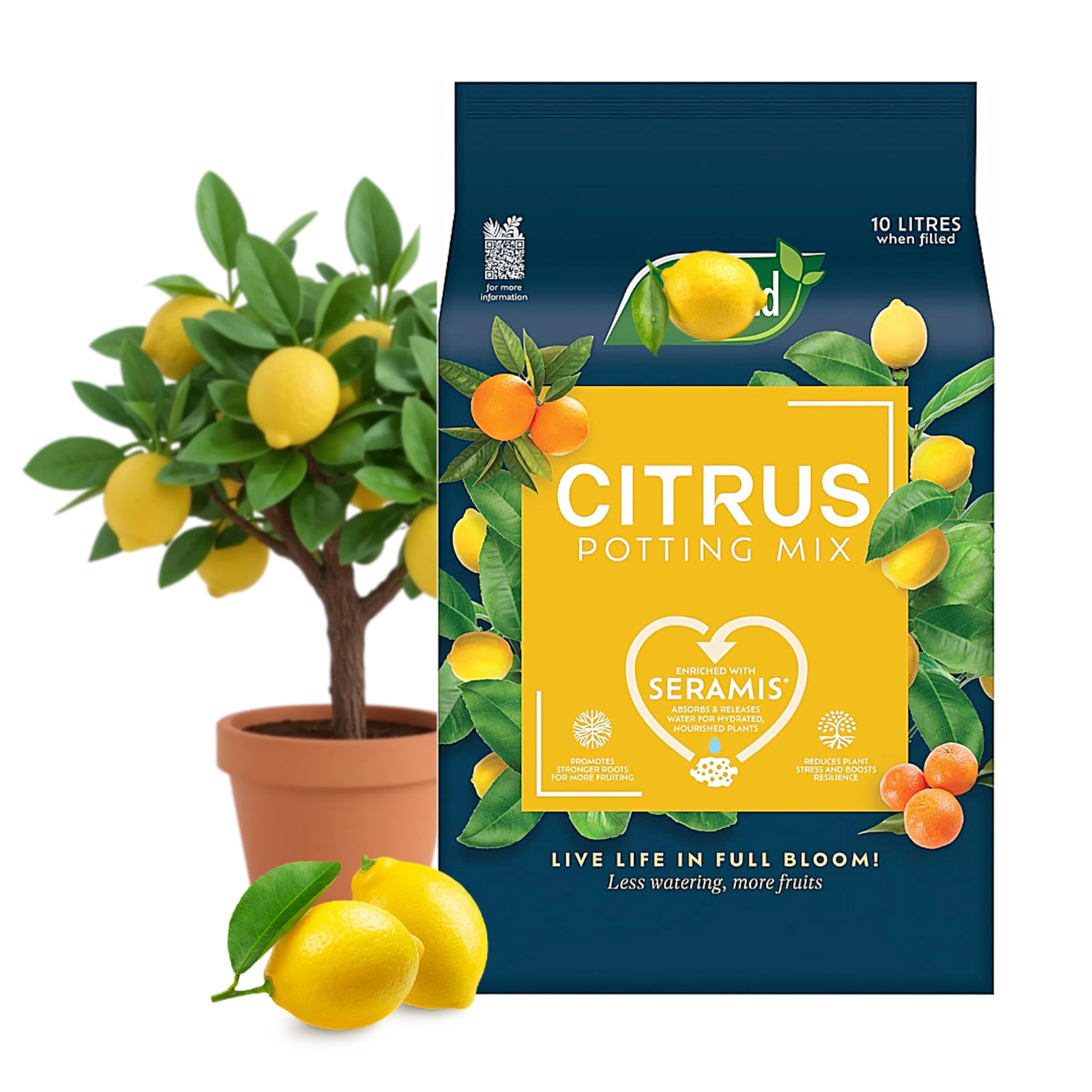 Citrus Plants Potting Mix 10L - Enriched with Seramis | Less Watering, Healthier Roots & More Fruit | Ideal for Lemon, Orange & Citrus Plants