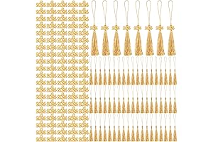Cindeer 100 Pack Mini Graduation Tassels with 2024 Tassel Charms