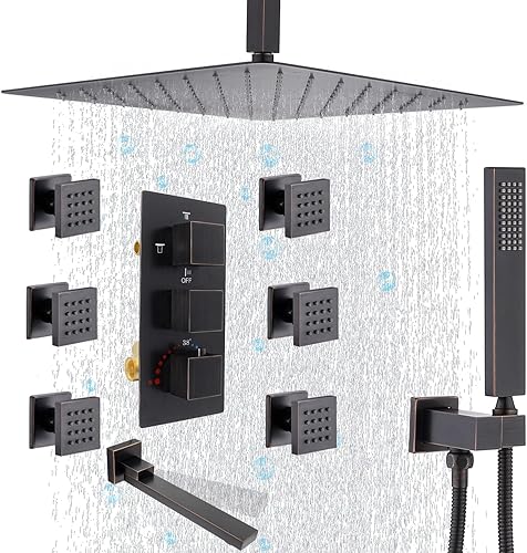 NPYSVSSS Sistema de ducha con soporte de techo de chorro de cuerpo de 16 pulgadas y cabezal de ducha termostático de mano de 4 vías con 6 chorros de