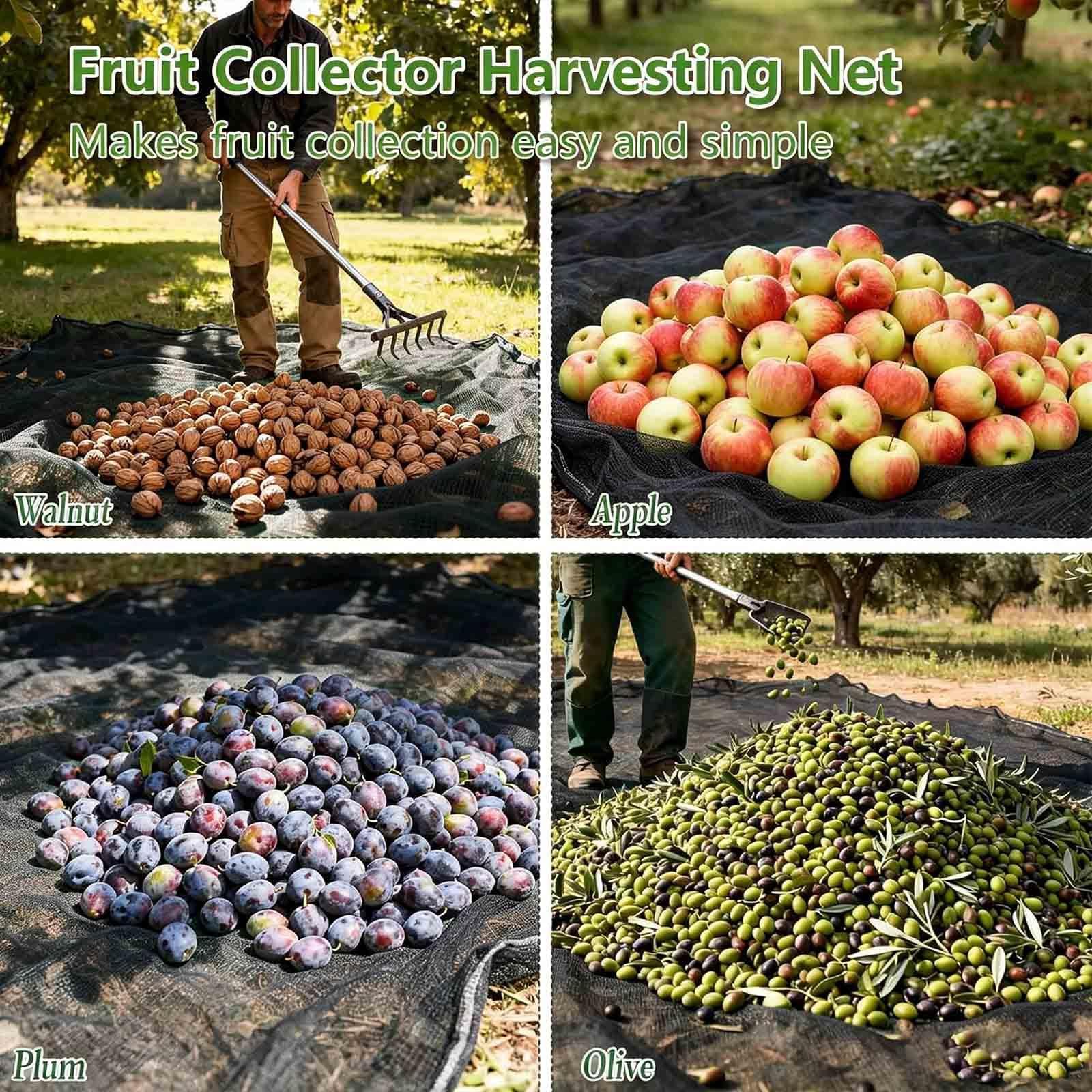 Red De Cosecha De Frutas, Resistente y Flexible Red para árboles Frutales con Corte Central Telones de Aceitunas, Almendras y Frutales,Round-20×20ft（6 * 6m）