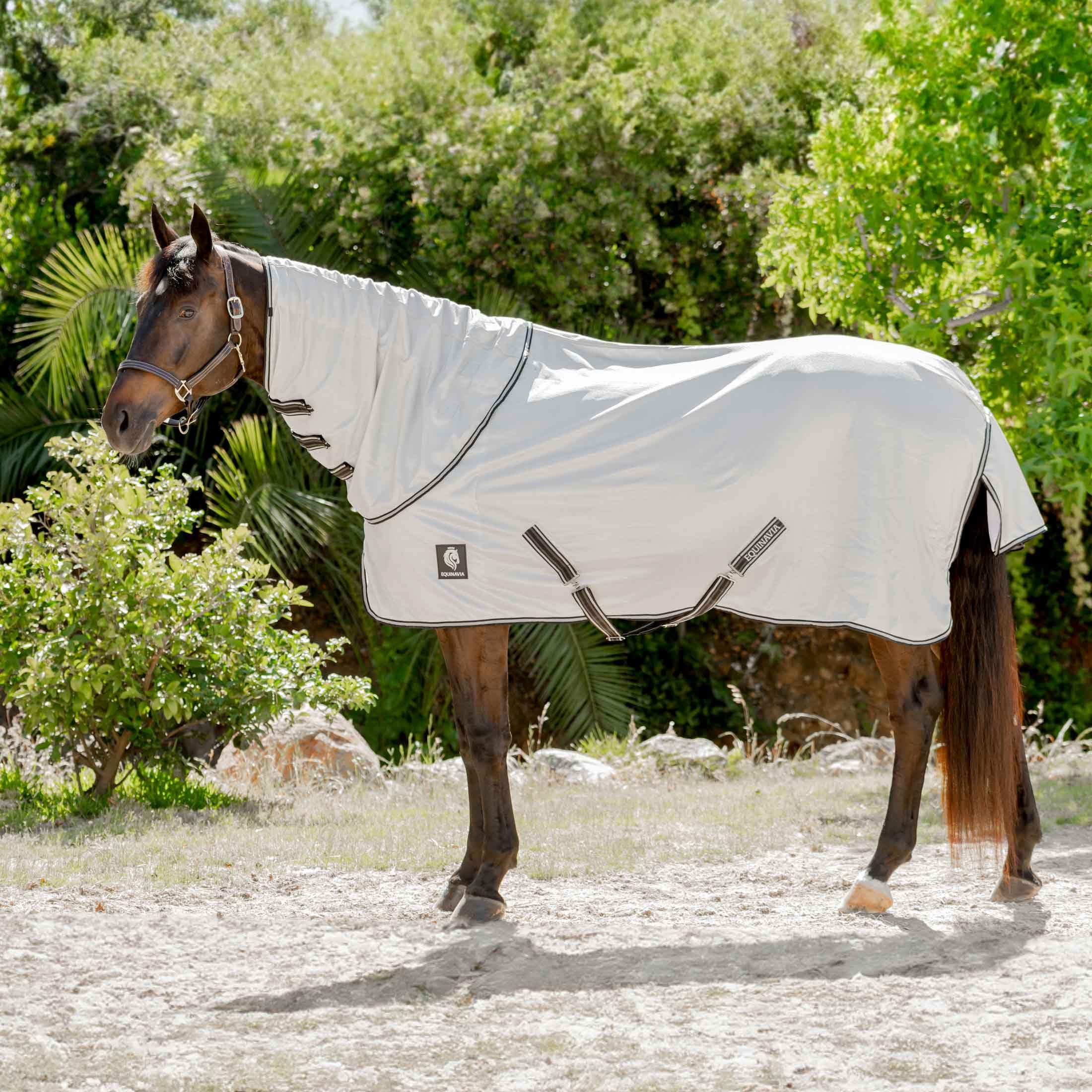 Equinavia Brisk Mesh Horse Fly Sheet with Removable Neck Cover| Durable Extended Coverage with UPF 45 UV Protection | Fly Sheet for Horses - Silver Gray - 81 in