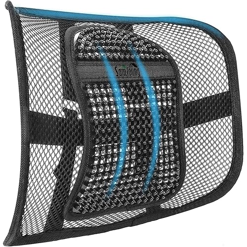 Samyoung Mesh Back Lumbar Support, Back Support Seat Cushion with Breathable Mesh for Office Chairs Car 12” x 16”