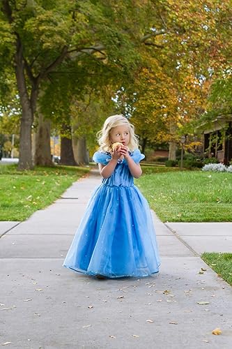 Miniatura 6 de Little Adventures Deluxe Cenicienta Mariposa Princesa Disfraz de Vestir para Niñas