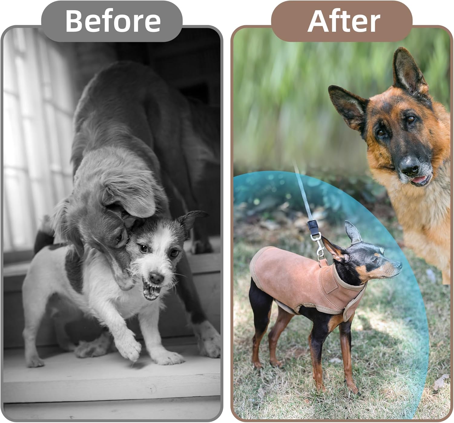 Dog Protection Vest -Tough Leather Vest, The Surface Layer of Genuine Leather is Tough and Wear-Resistant, Protection Against Attacks by Coyotes, Hawks, Raptors, and Birds of Prey (S, Brown)
