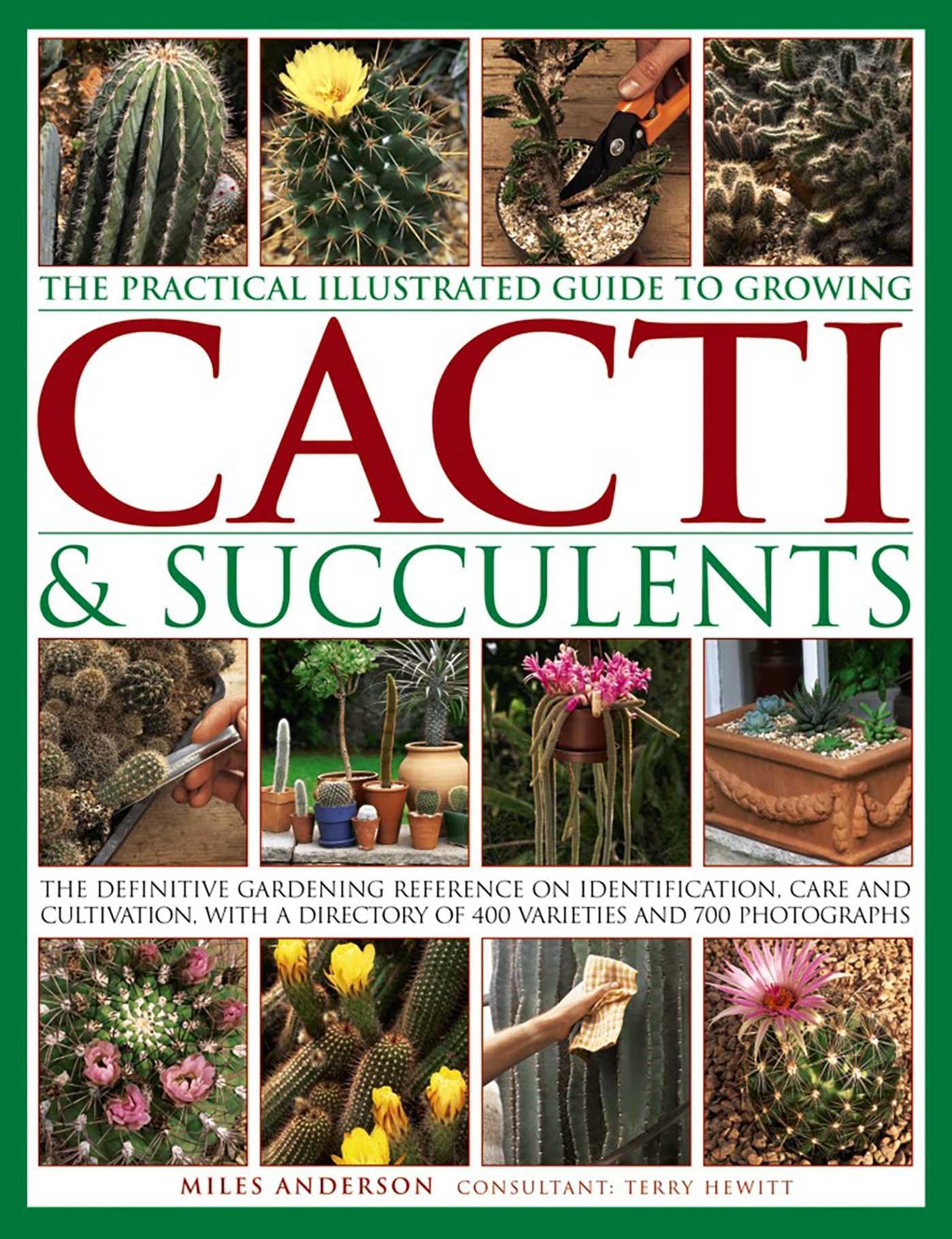 Snapklik.com : The Practical Illustrated Guide To Growing Cacti ...