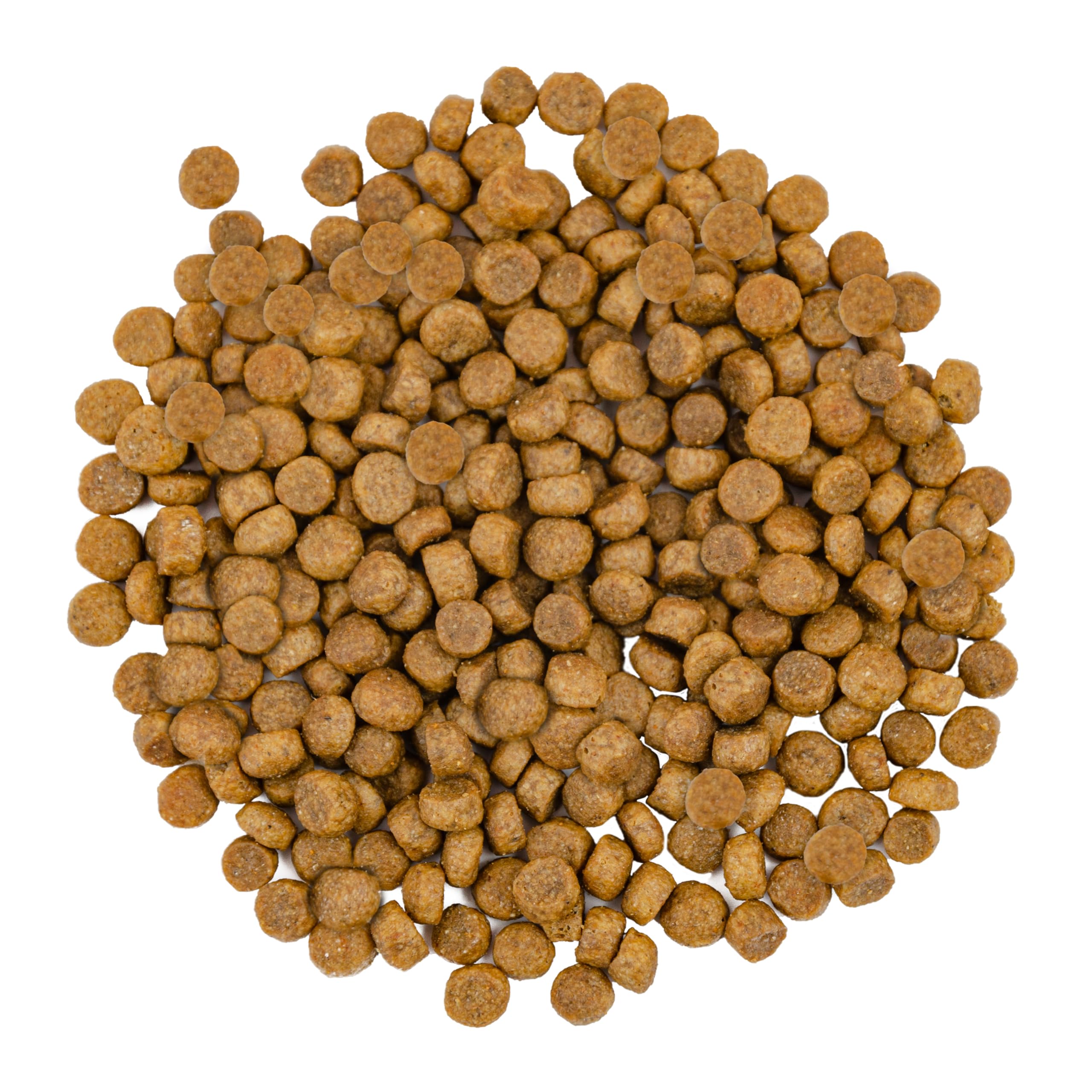 SAVORY Adult Cat Gourmand Fresh - Holistyczna sucha karma dla kotów - Mix prebiotyków, probiotyków i minerałów – Zdrowa karma sucha – Łosoś i biała ryba - 8 kg