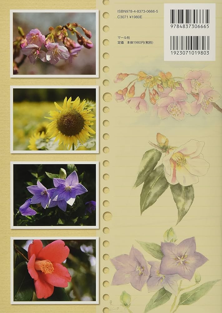 ＤＥＳＳＩＮＥＲ　ＤＥＳ　ＦＬＥＵＲＳ（花を描きます） DESSINER DES FLEURS（花を描きます） Amazon