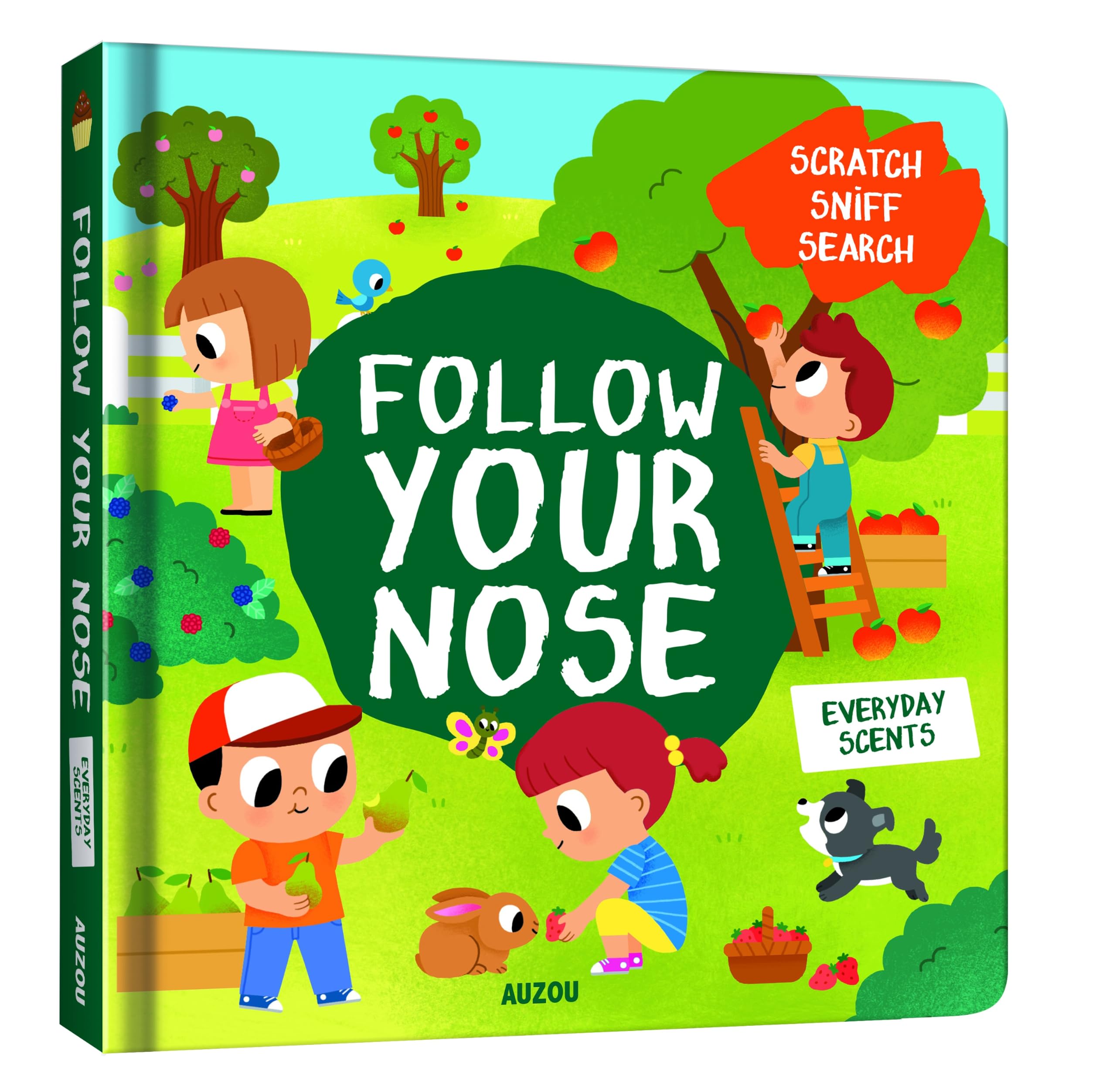Everyday Scents (Scratch Sniff Search) (Follow Your Nose - Scratch Sniff Search)