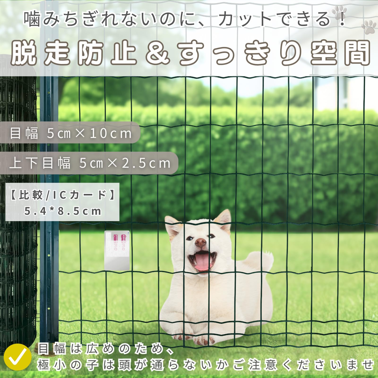 Amazon.co.jp: Mollemii【頑丈＆シンプル設置】 屋外 ドッグラン