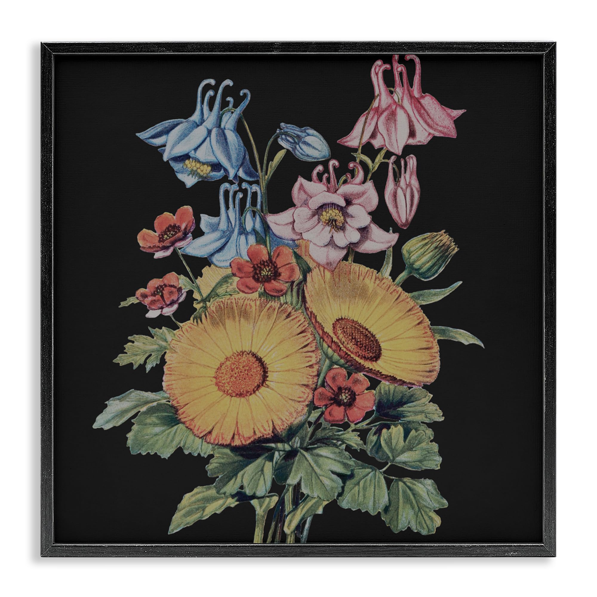 Stupell Industries 'Vintage Bouquet Study on Black', Framed Giclee Art, Black, 17 x 17 Inches, Easy to Hang and Sturdy, Made in USA, by Dan Meneely