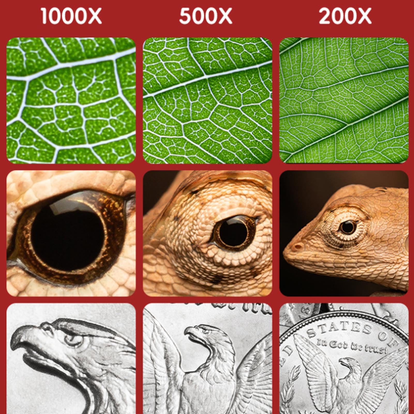 Microscope for Kids, Portable Pocket Microscope Kit, 3 In 1 Pocket Digital Microscope Camera, Mini Handheld Digital Microscope Built in with 8 Adjustable LED Lights for Kids