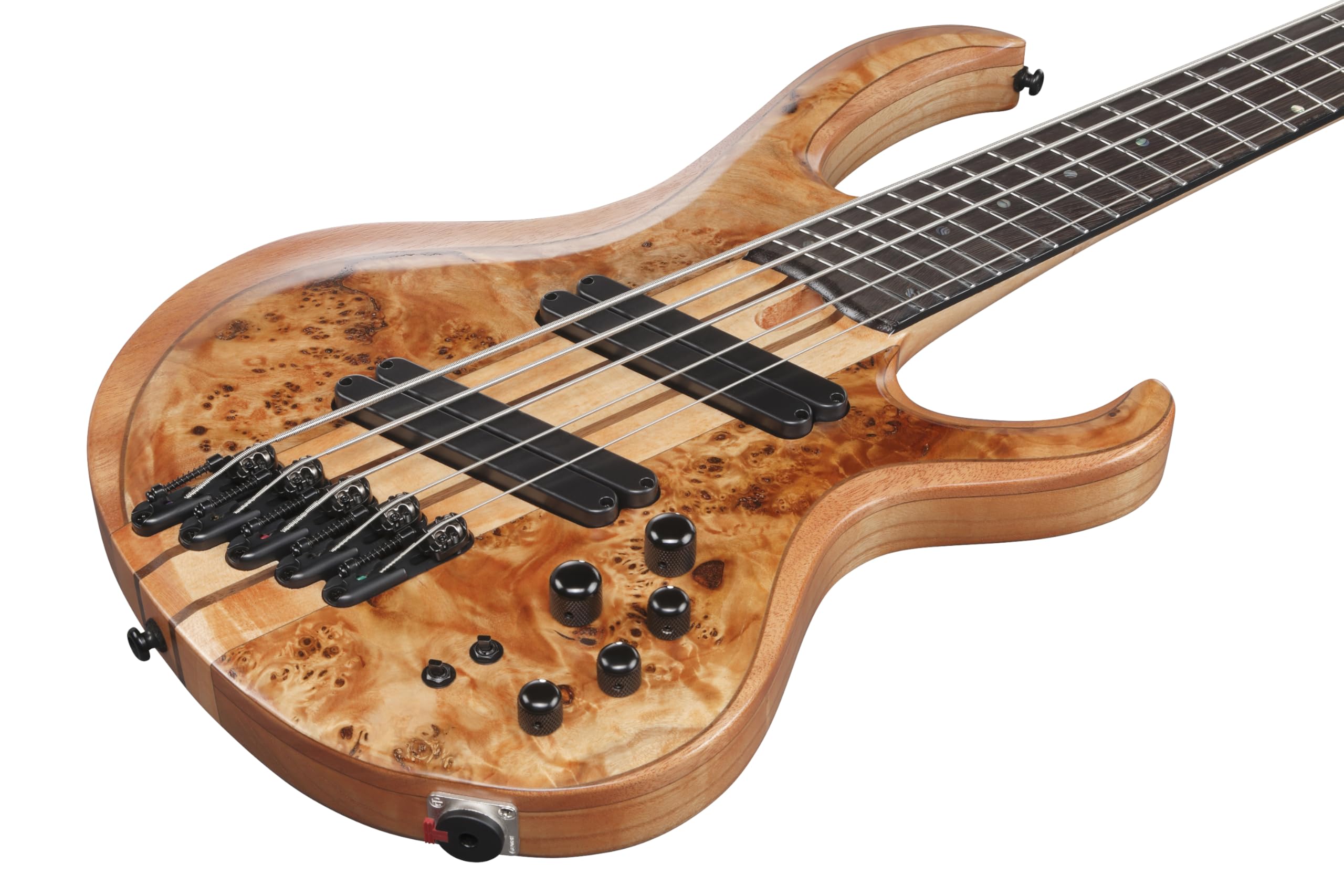 Amazon | Ibanez(アイバニーズ) エレキベース 5弦 Florid Natural Low