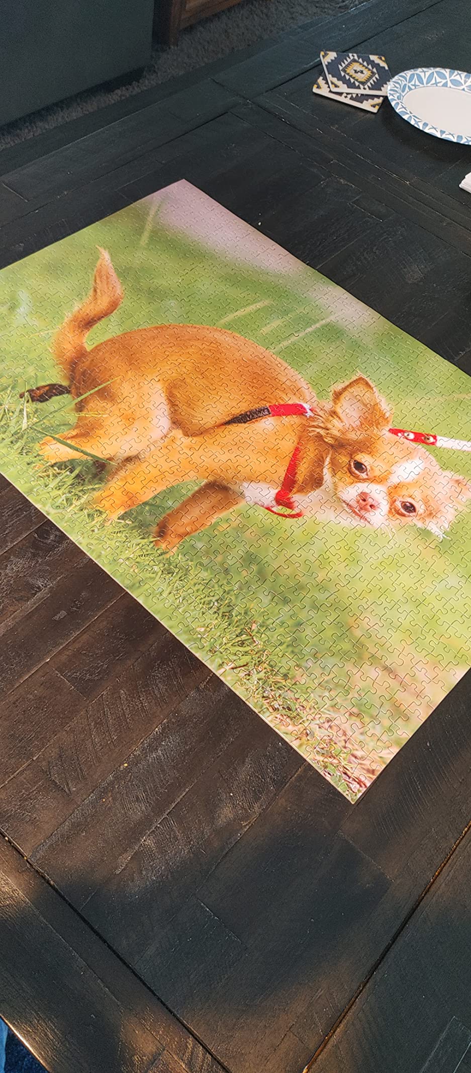 Hard puzzle but worth the laughs