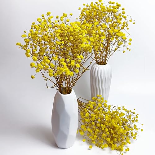 Miniatura 10 de Aliento preservado del bebé, 3 racimos, 100% natural de gypsophila fresca, flores de larga duración para arreglos de jarrón, decoración del hogar,