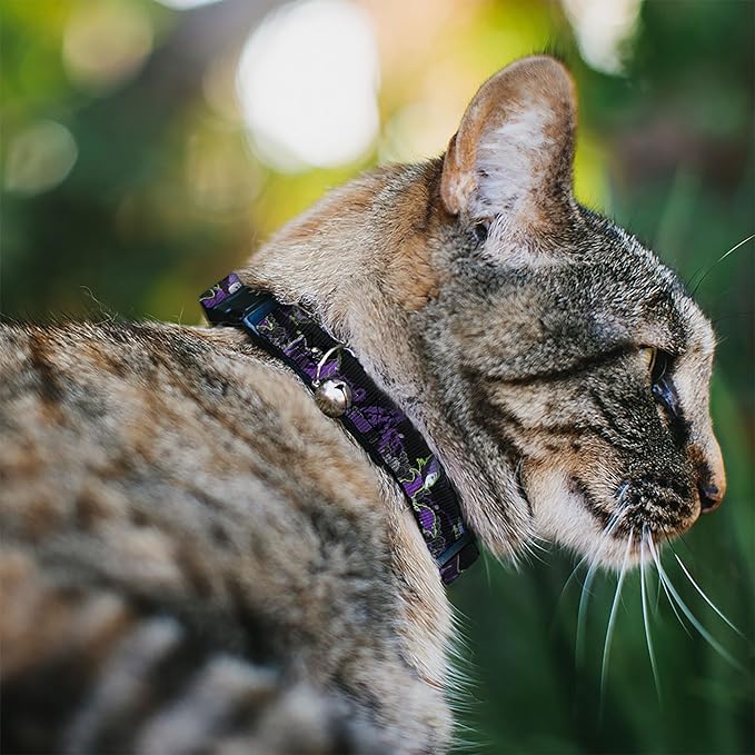 Collar para Gato Breakaway Maleficent Diablo Rosas Negras 8-12 pulgadas 0.5 ancho miniatura 2