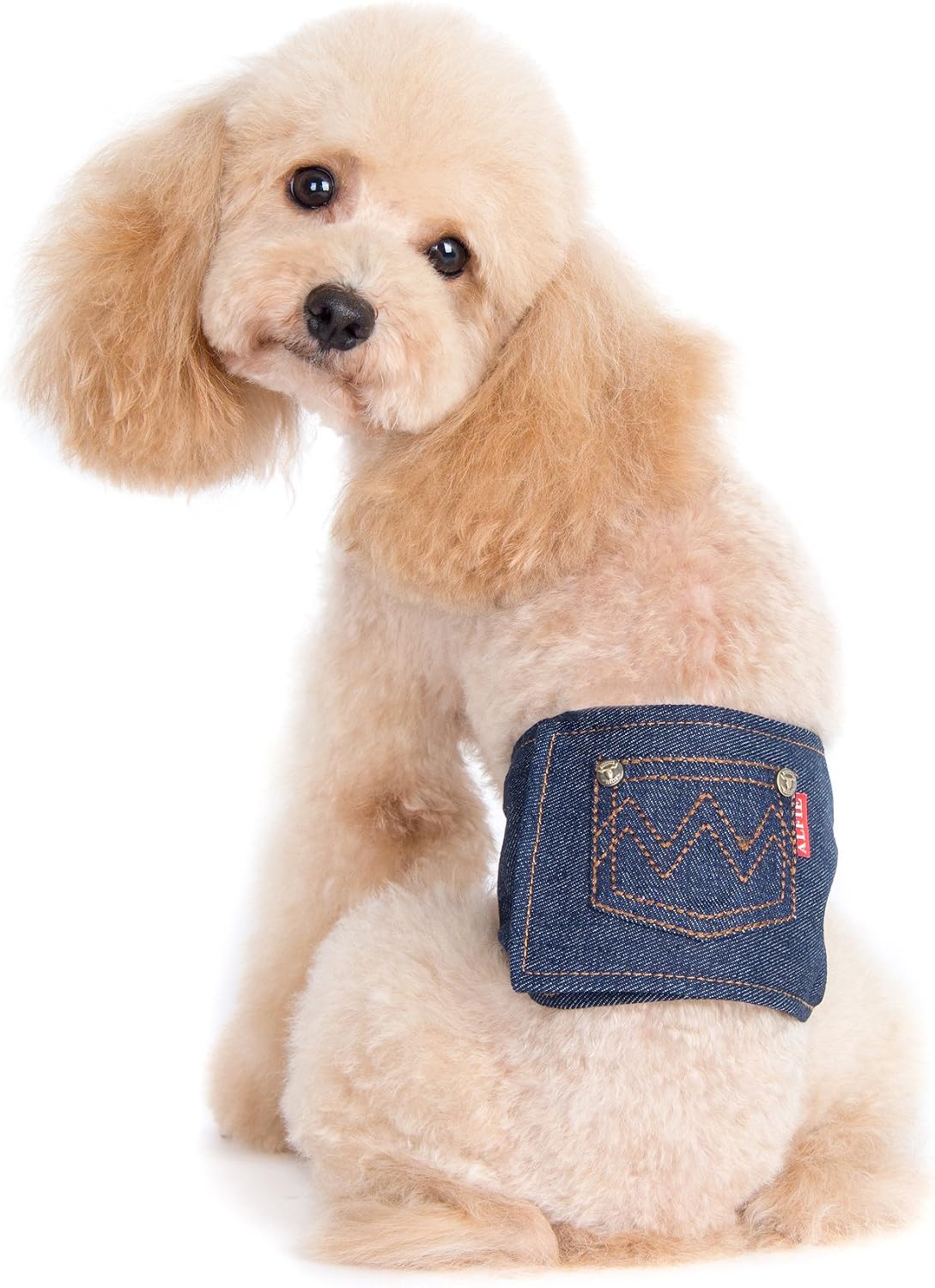 Alfie Pet - Cayden Denim Belly Band - Color: Navy, Size: XS (for Boy Dogs)