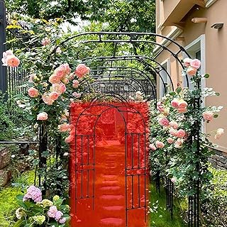 WaiDXn De Metal, de jardín, Adecuado for Varias Plantas trepadoras, Adecuado for Bodas, Jardines, Decoraciones(120x240x40cm)