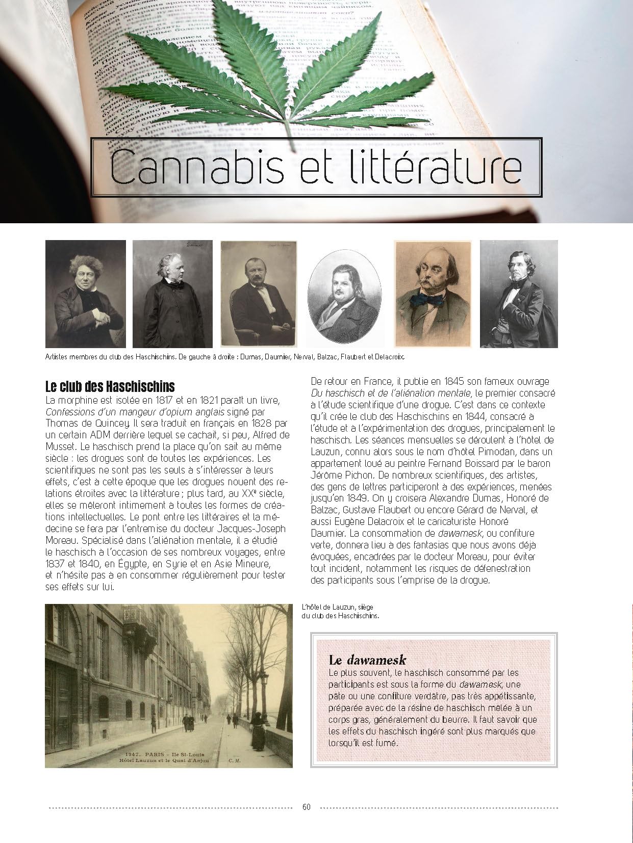 Chanvre et cannabis: Tous les savoirs, toutes les histoires, tous les pouvoirs, tous les espoirs