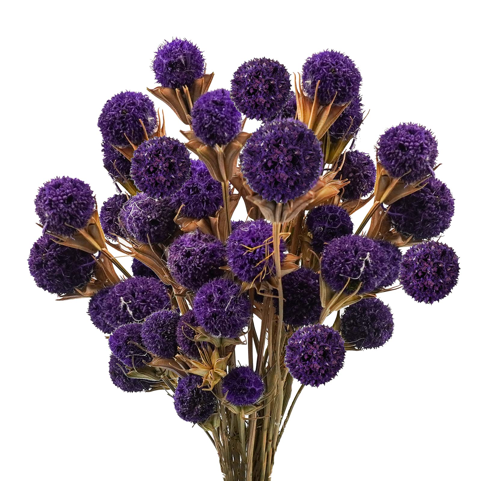 Uieke36Pcs Natural Dried Flowers Dried Craspedia Billy Balls Flowers Billy Button Balls Flowers 17.5’’ Fake Puple Flowers Bouquet for DIY Farmhouse Wedding Party Home Vase Office Decor