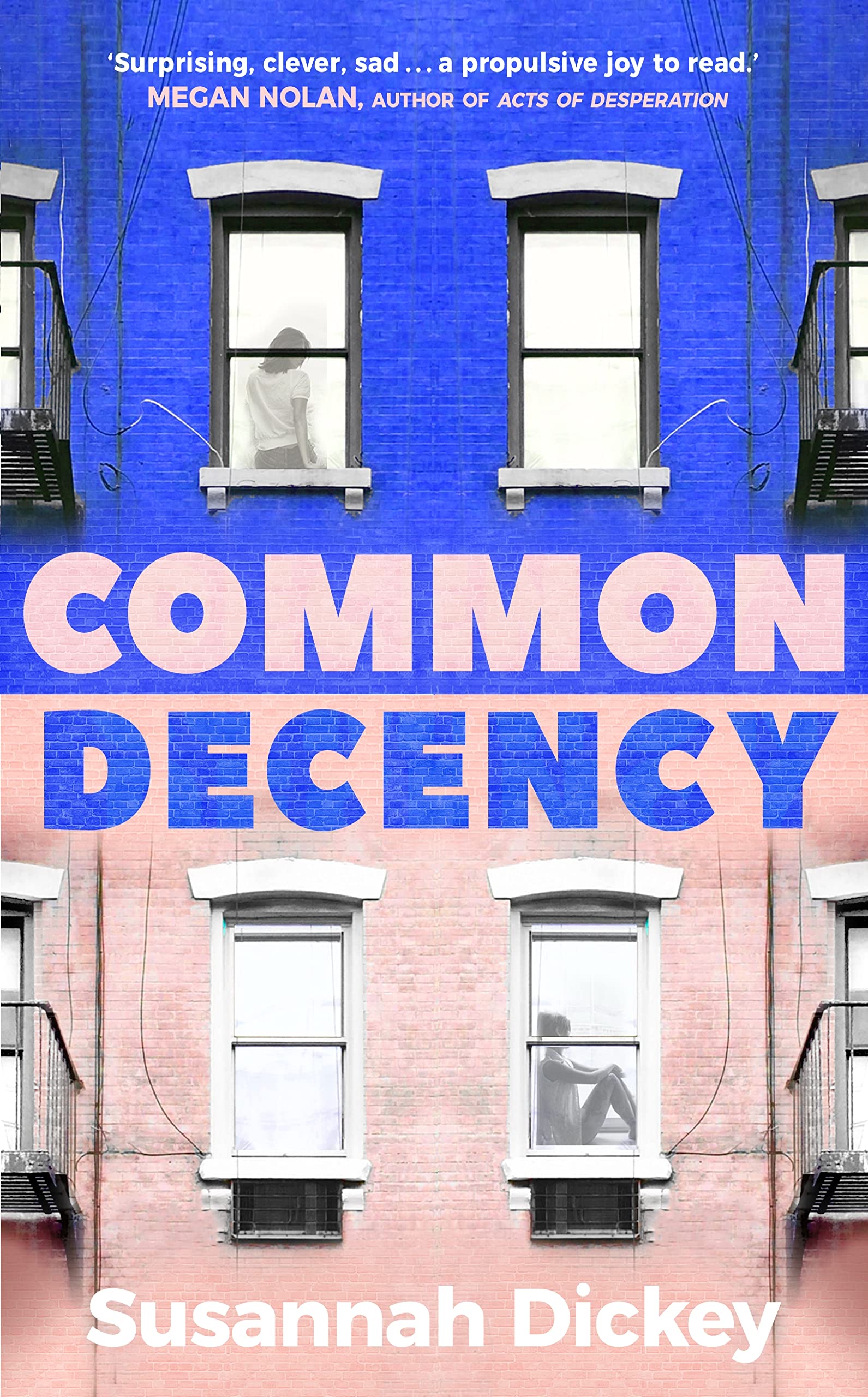 Common Decency: A dark, intimate novel of love, grief and obsessio
