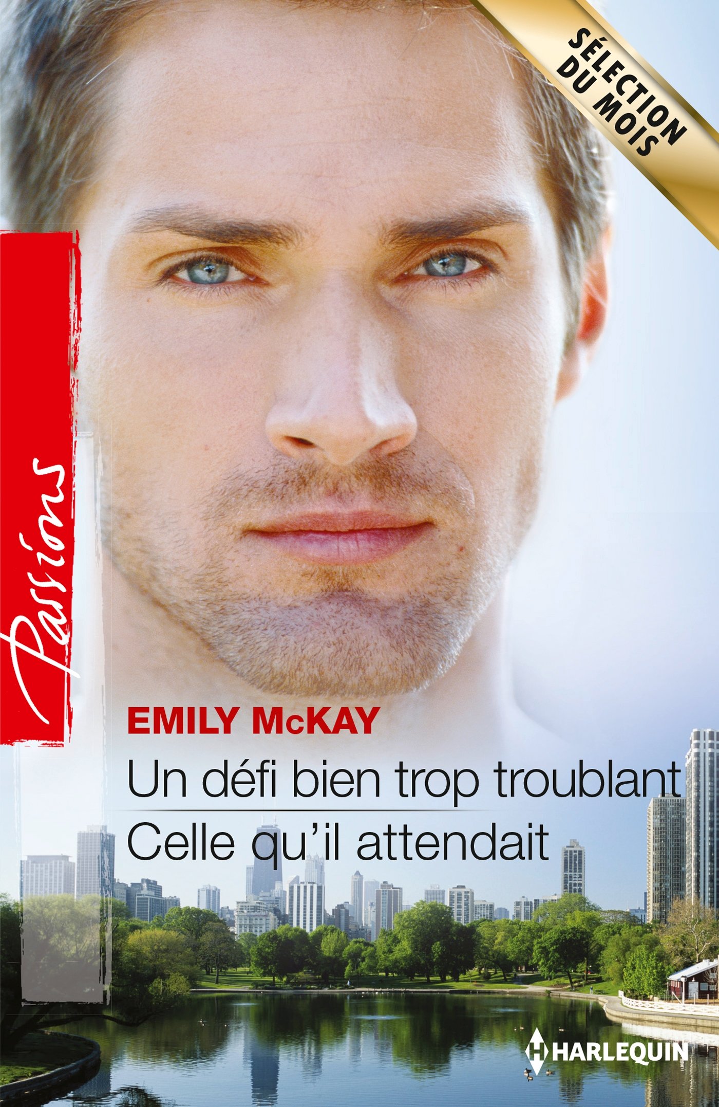 Un défi bien trop troublant - Celle qu'il attendait: T 1&2 - Le défi des frères Cain (French Edition)