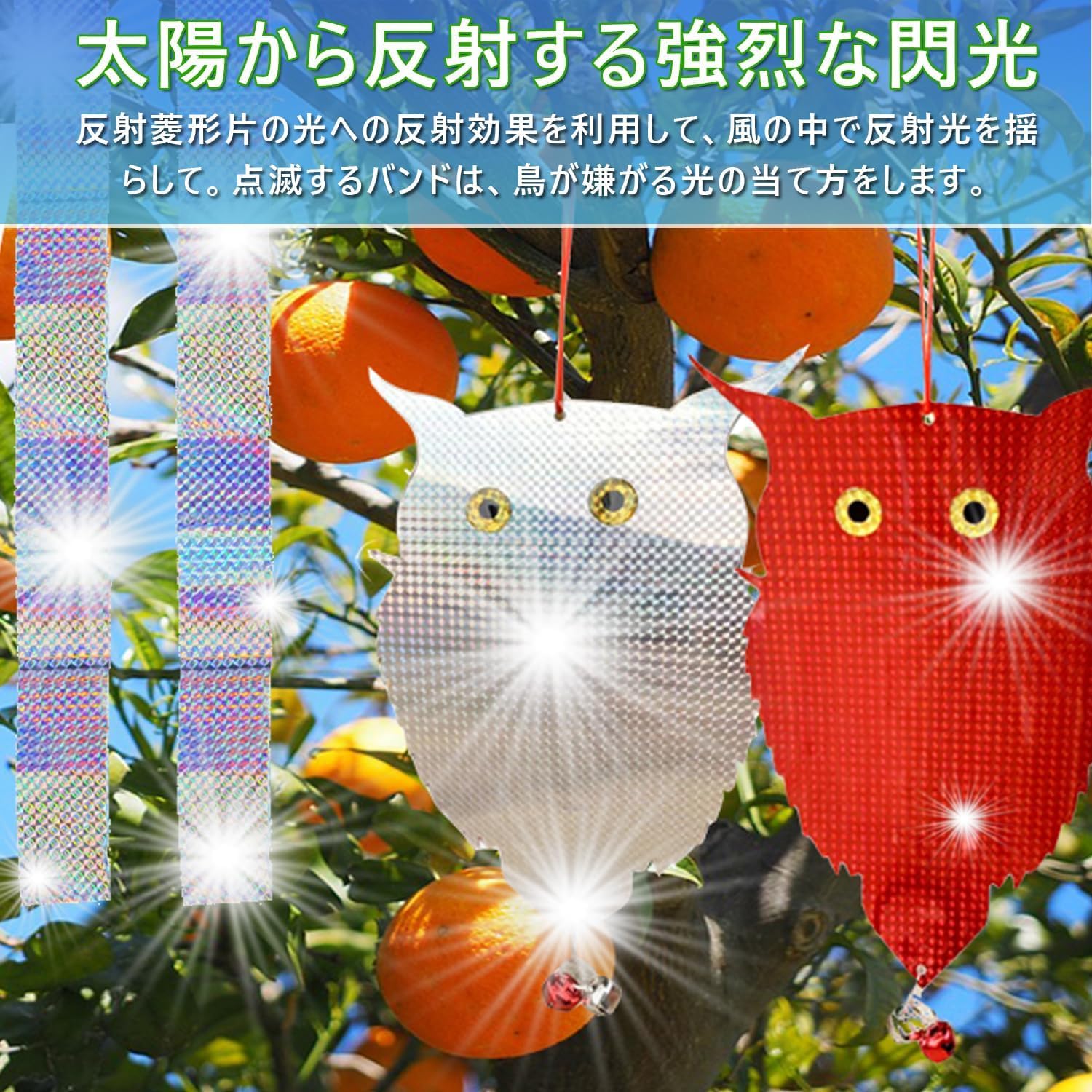 Amazon.co.jp: Nowoto 鳩よけ 鳥よけ 大サイズ フクロウ 鳩よけグッズ