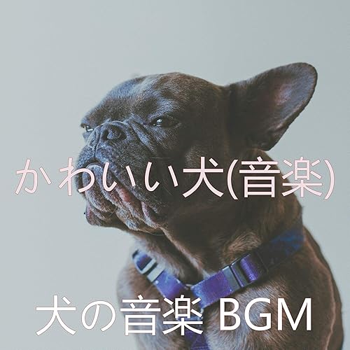 Amazon Music 犬の音楽 Bgmのかわいい犬 音楽 Amazon Co Jp