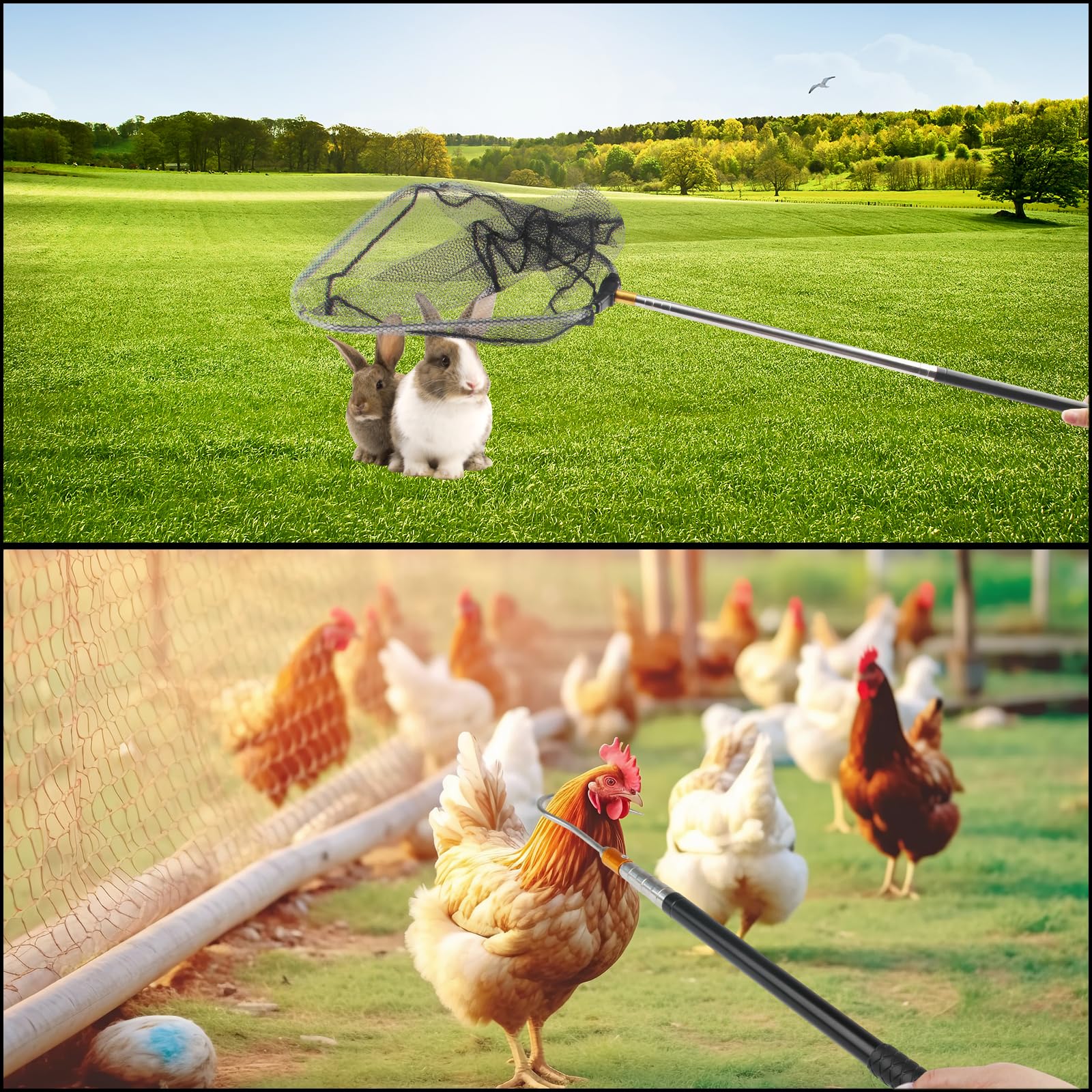 3 Pièces Attrape Poulet Extensible Filet de Volaille Amovible | Epuisette Peche, Avec Crochet en Acier Inoxydable, Filet Capture, Pour Animaux Dindes Oies Canards Oiseaux Petits et Poissons