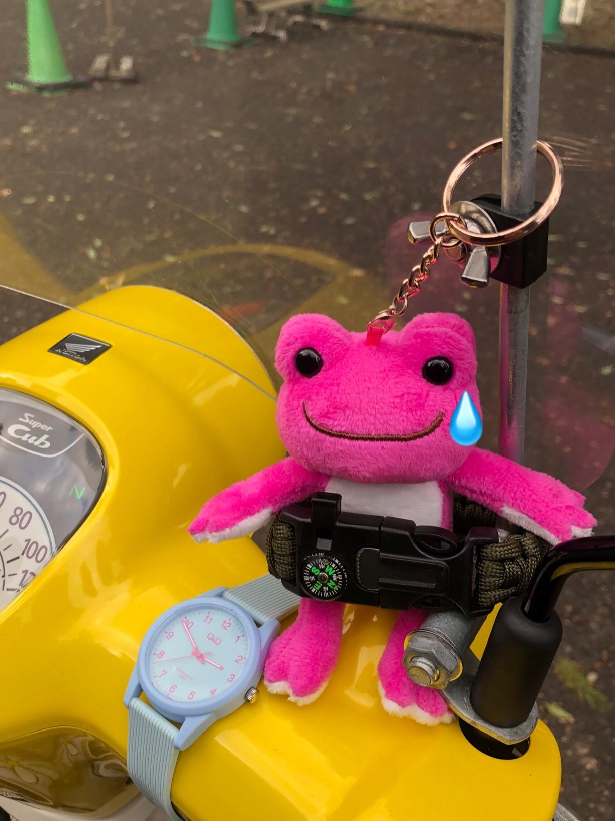 お客様イメージ