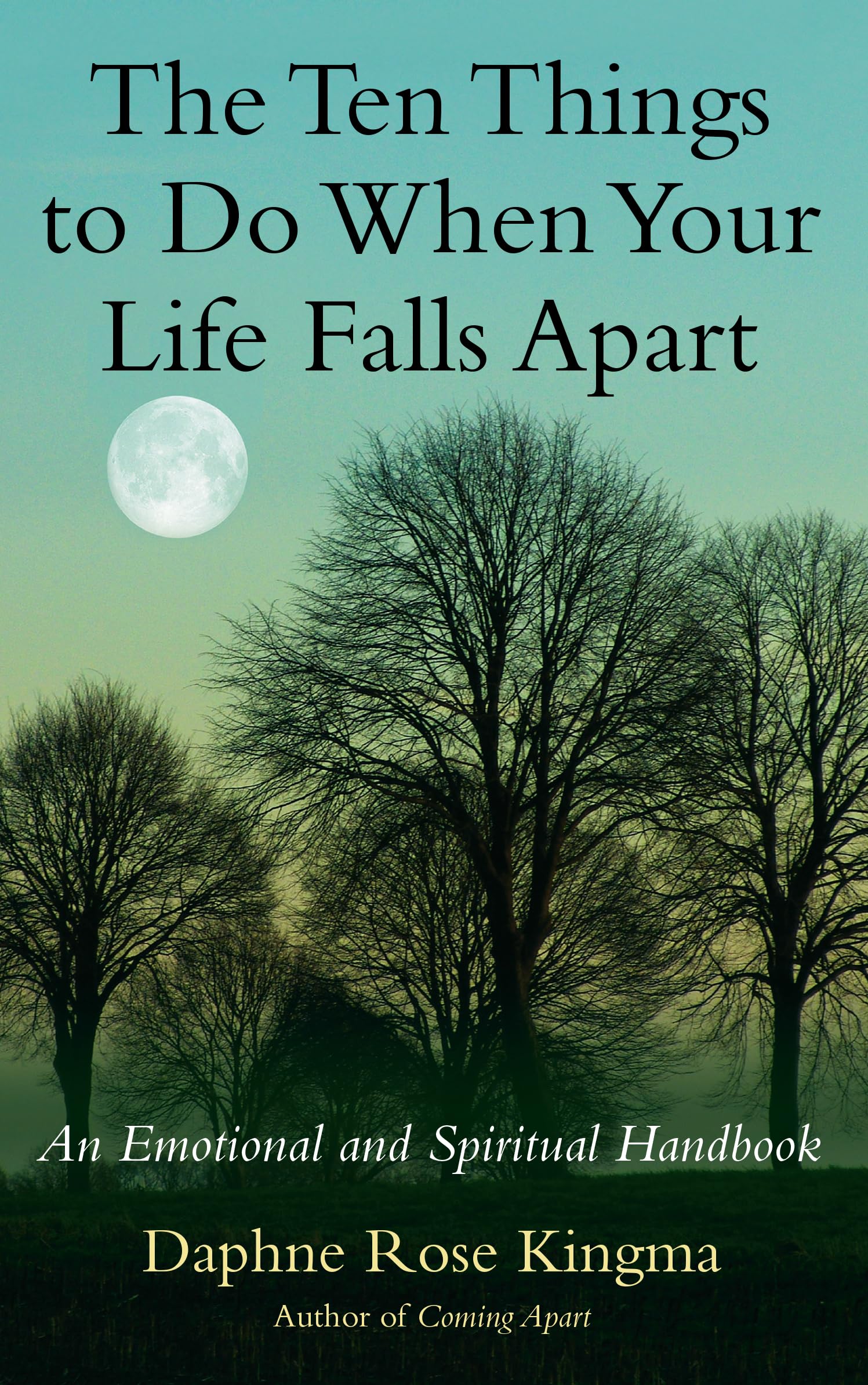 The Ten Things to Do When Your Life Falls Apart: An Emotional and Spiritual Handbook Paperback – April 6, 2010