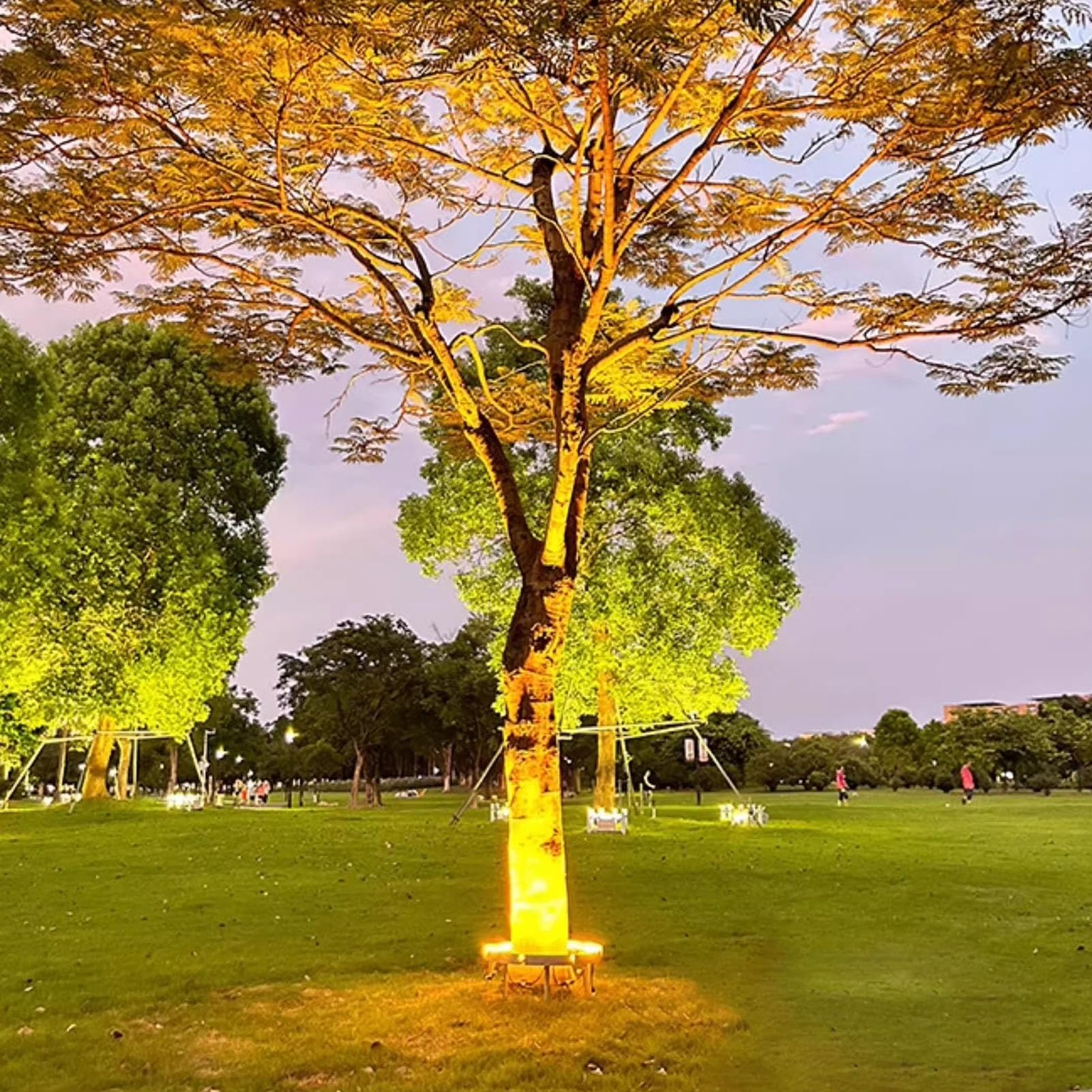 Luce per albero di palma da giardino, AC110 220V DC24V