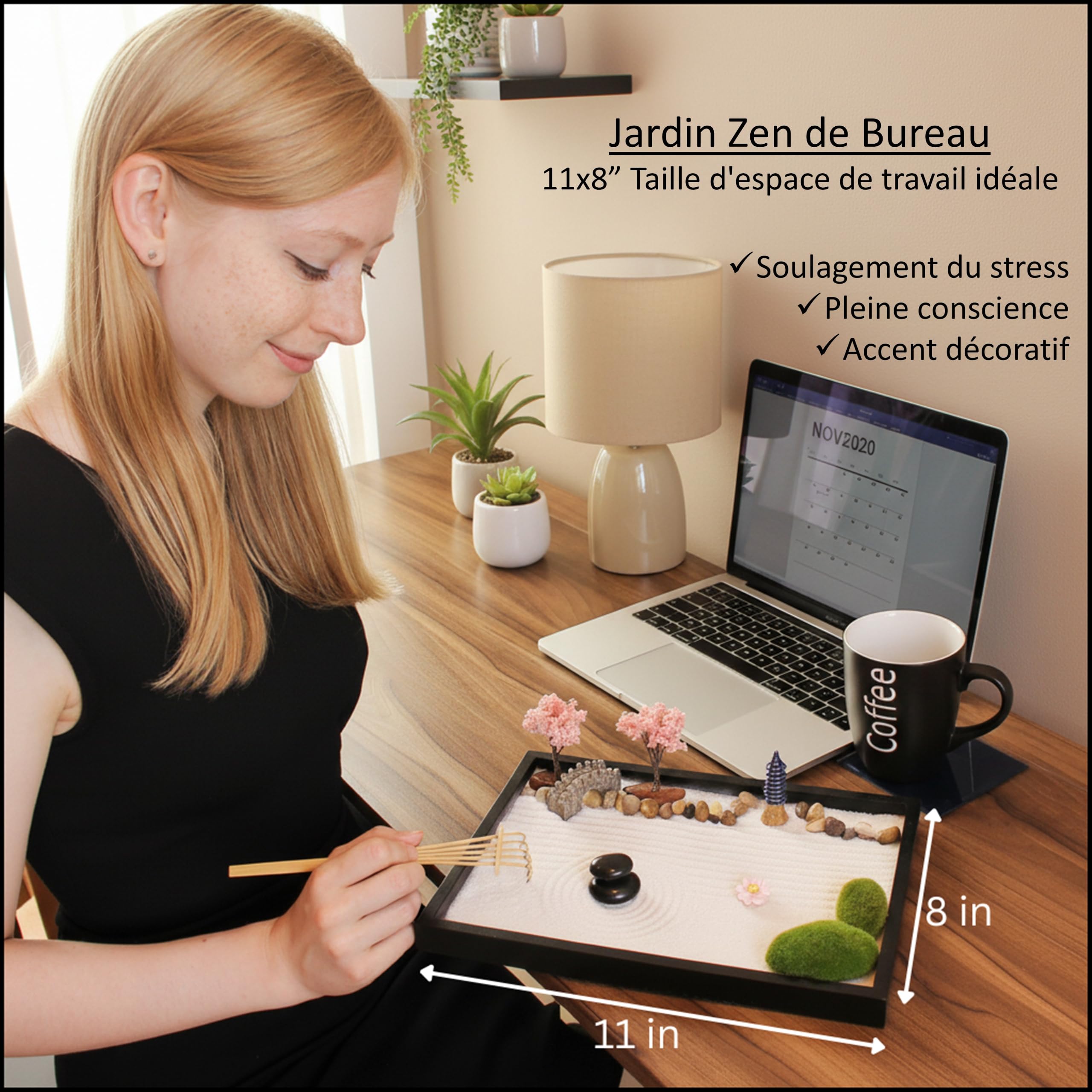 Island Falls Home Kit de Jardin Zen Miniature 11x8 Pouces. Deco Japonaise